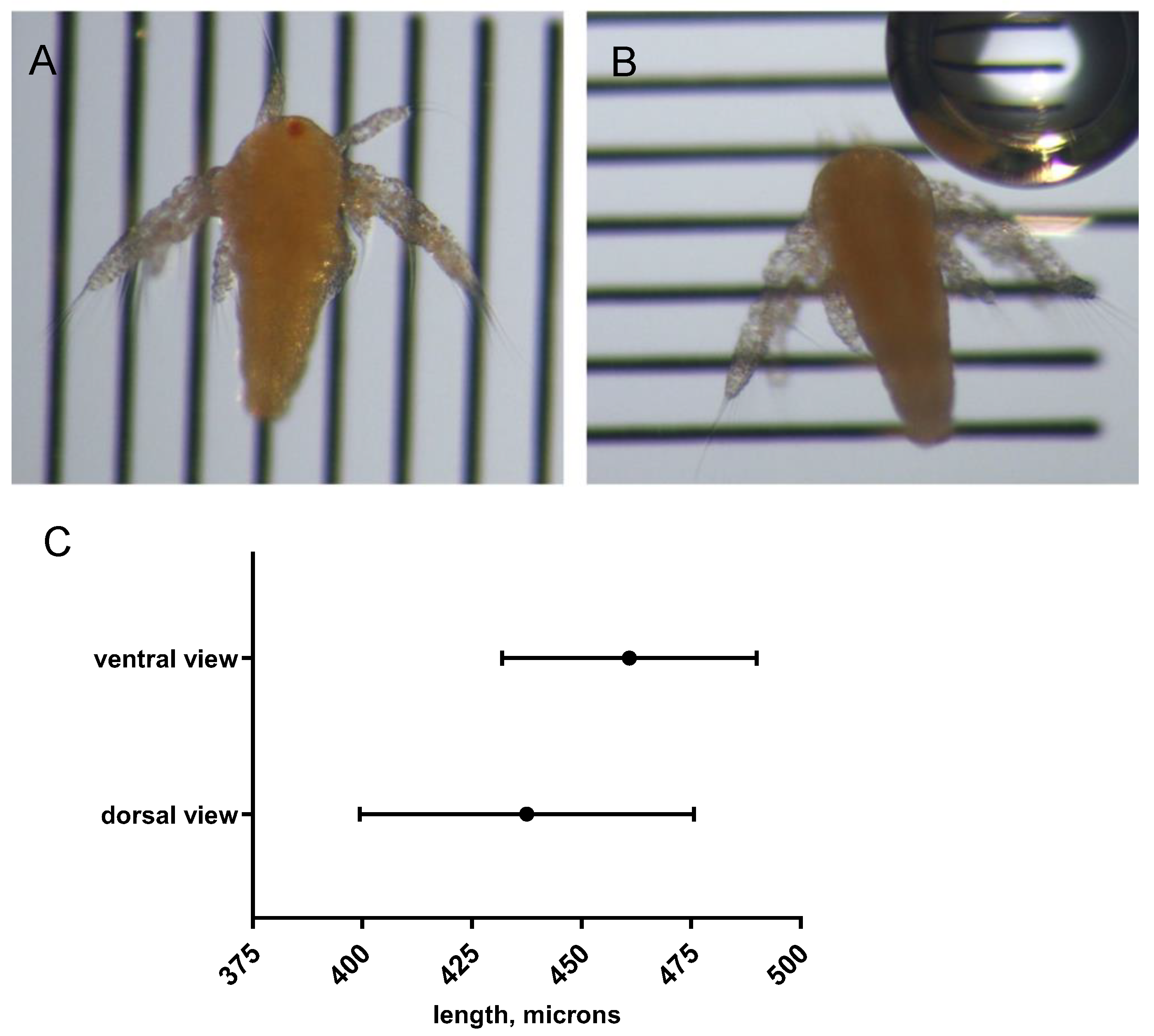 Preprints 167740 g004