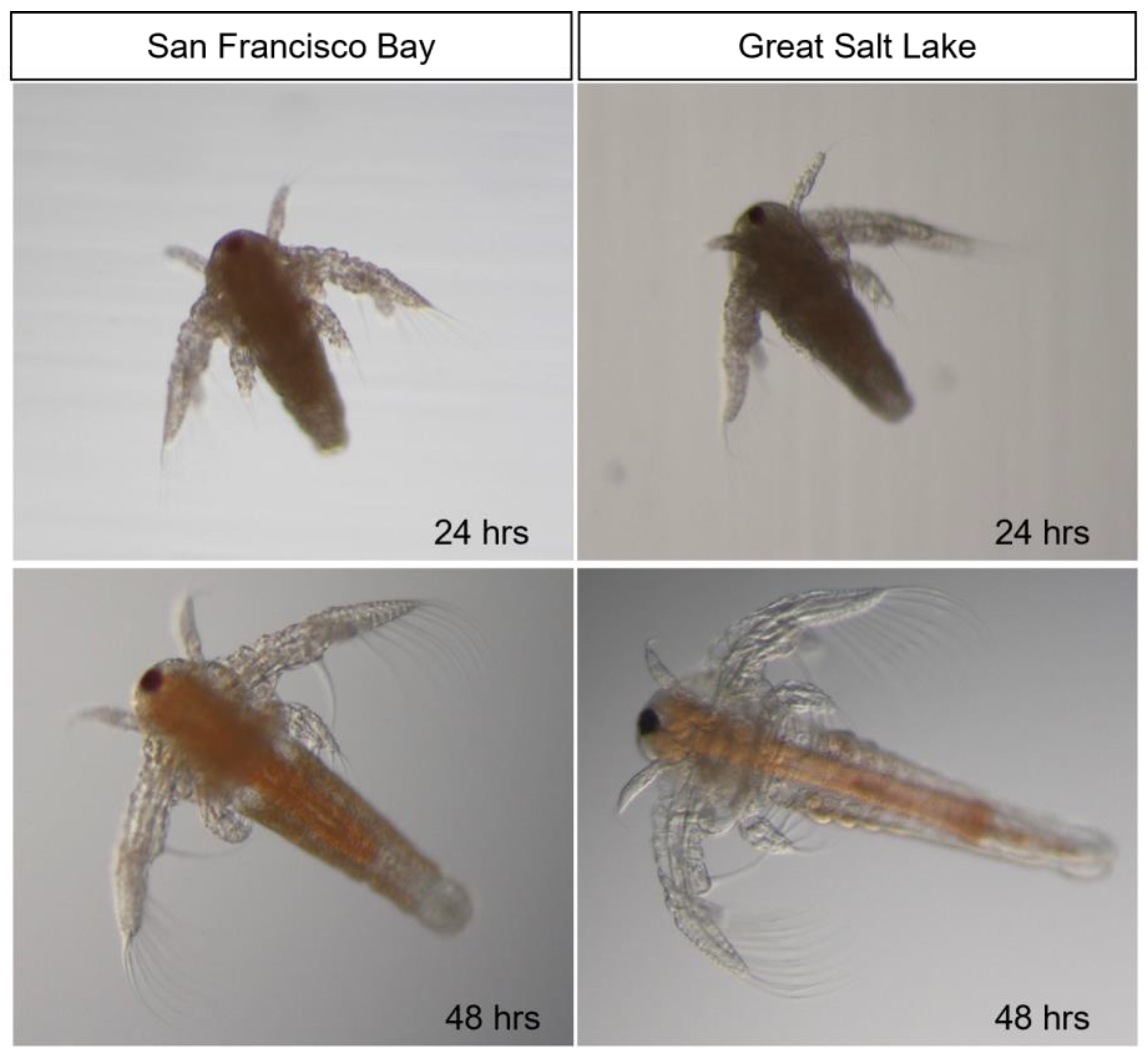 Preprints 167740 g005