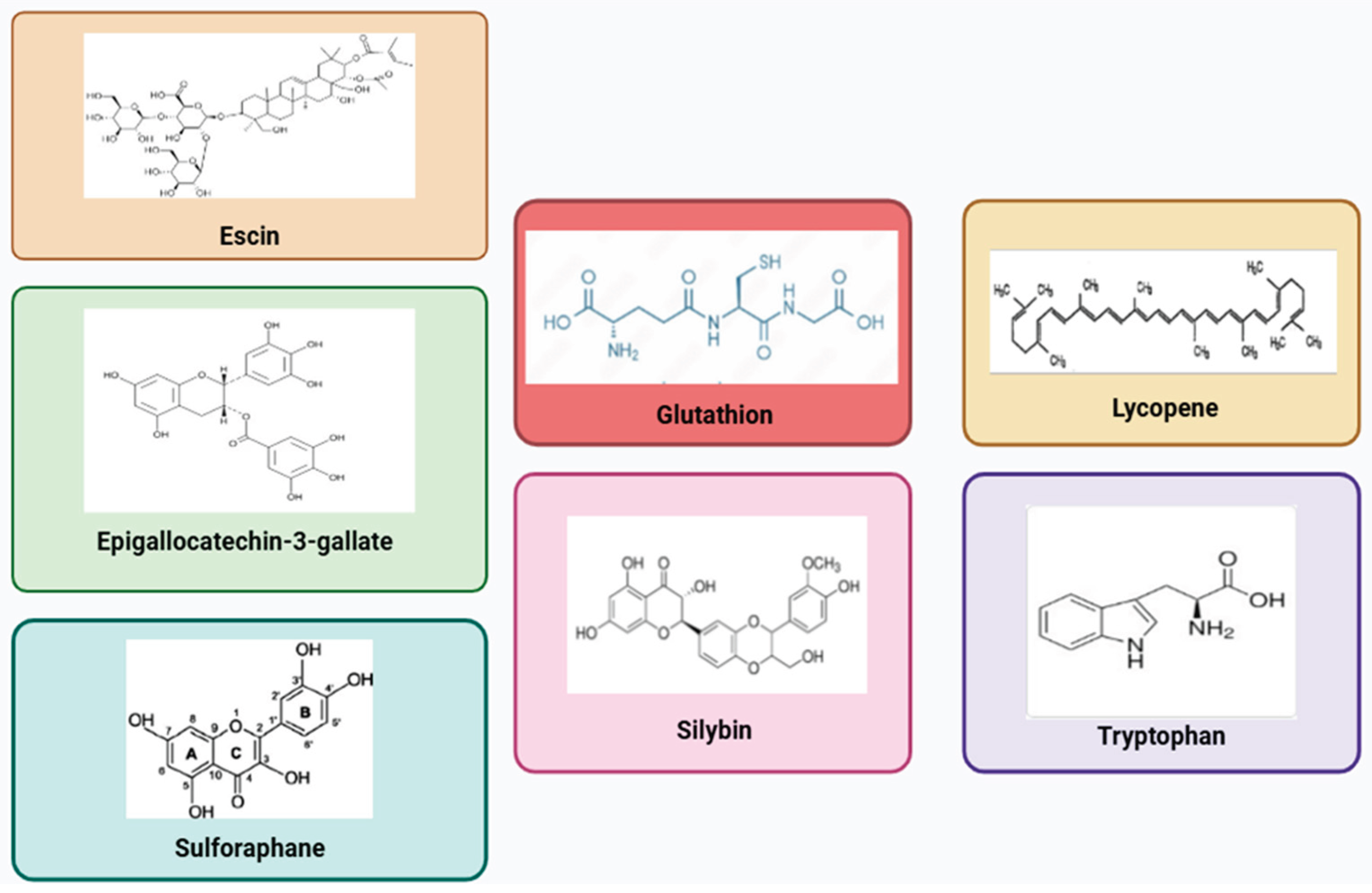 Preprints 177003 g001