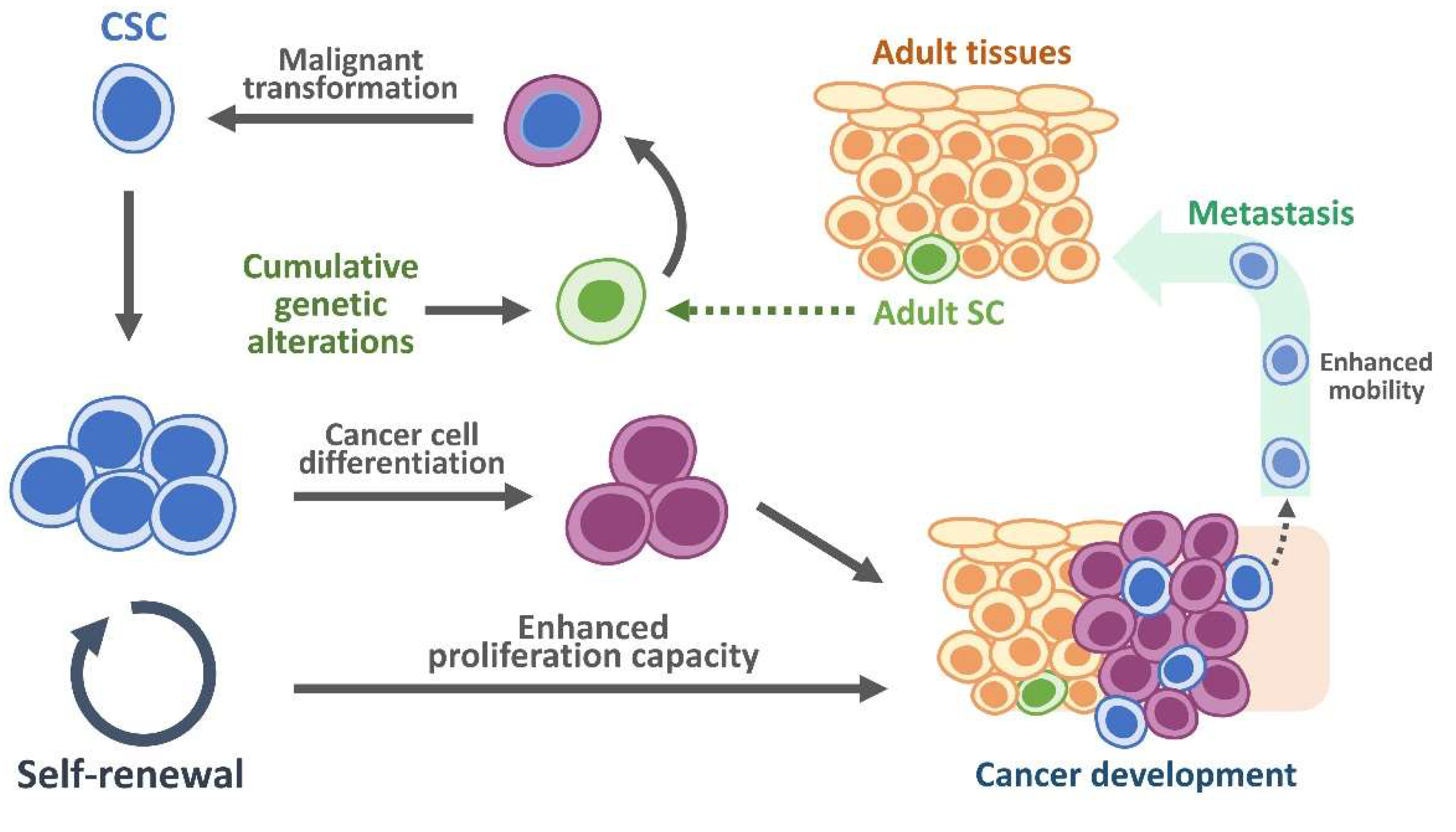 Preprints 146166 g001