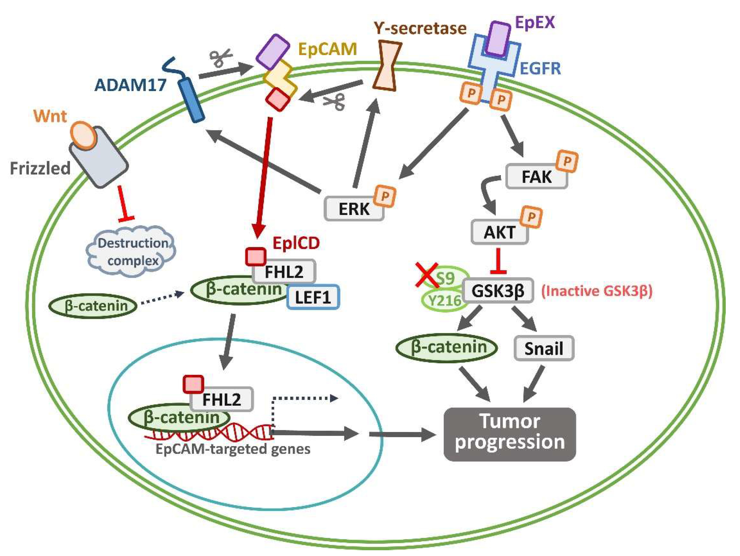 Preprints 146166 g002