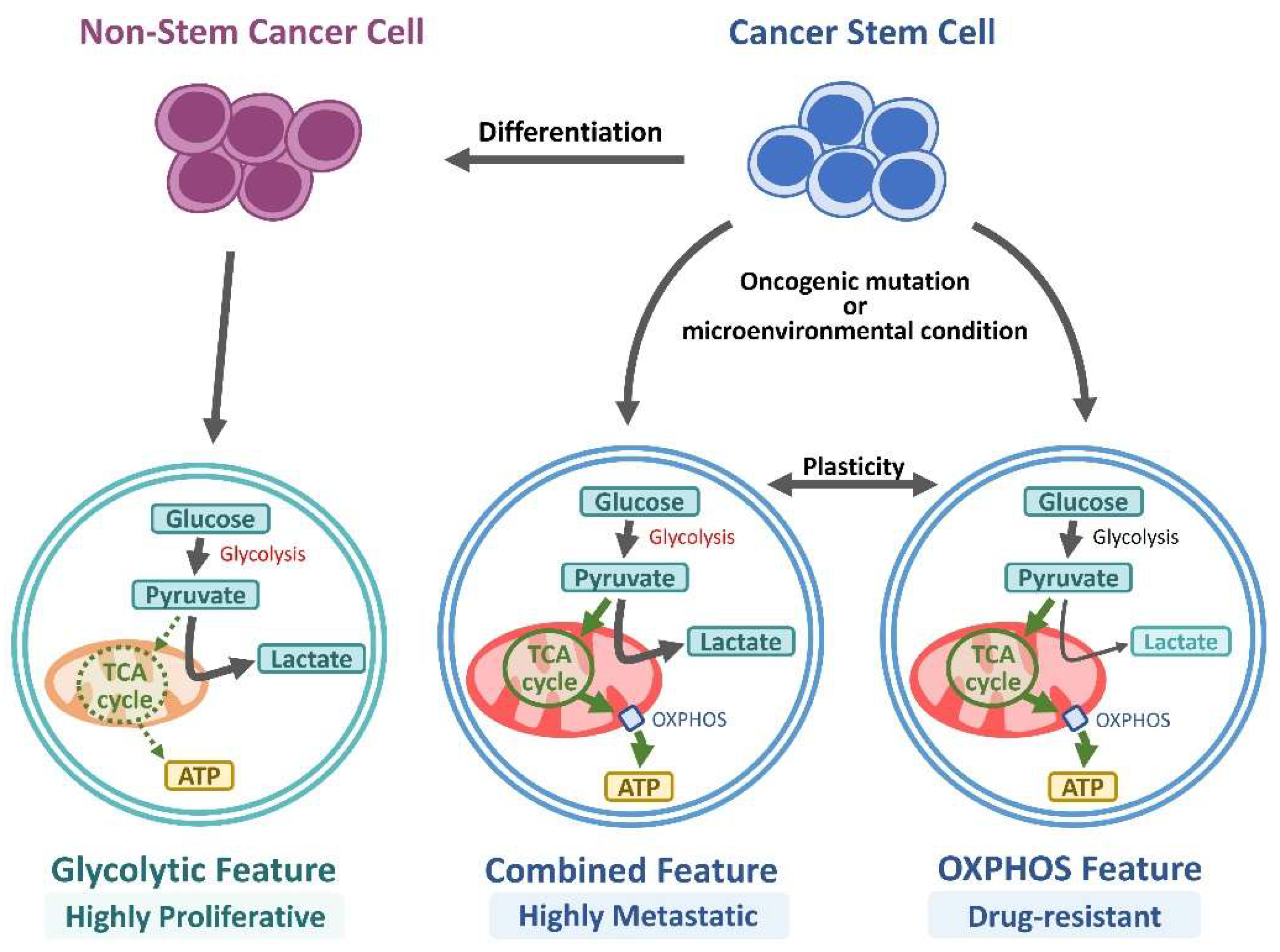 Preprints 146166 g003
