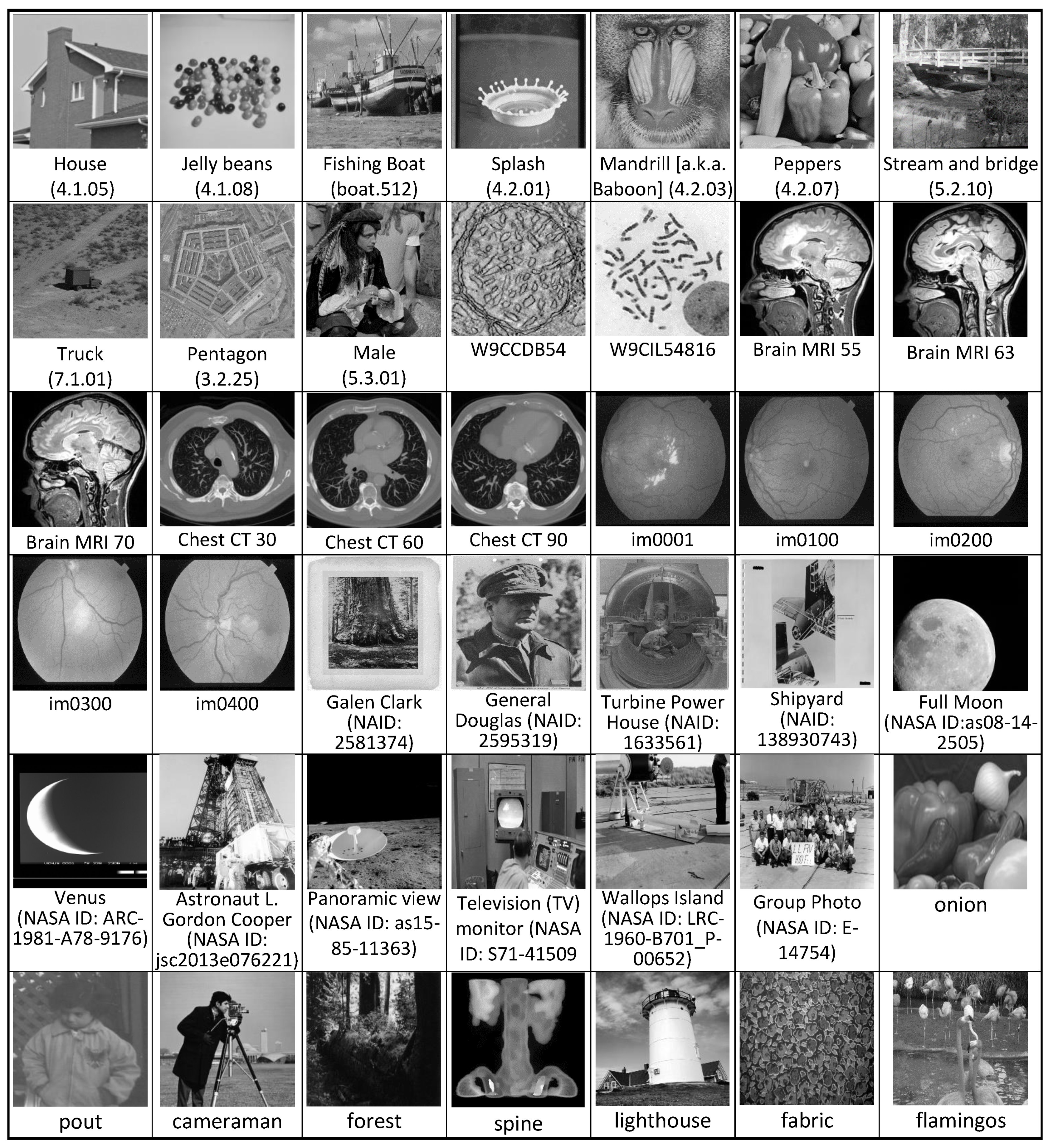 Preprints 91363 g008
