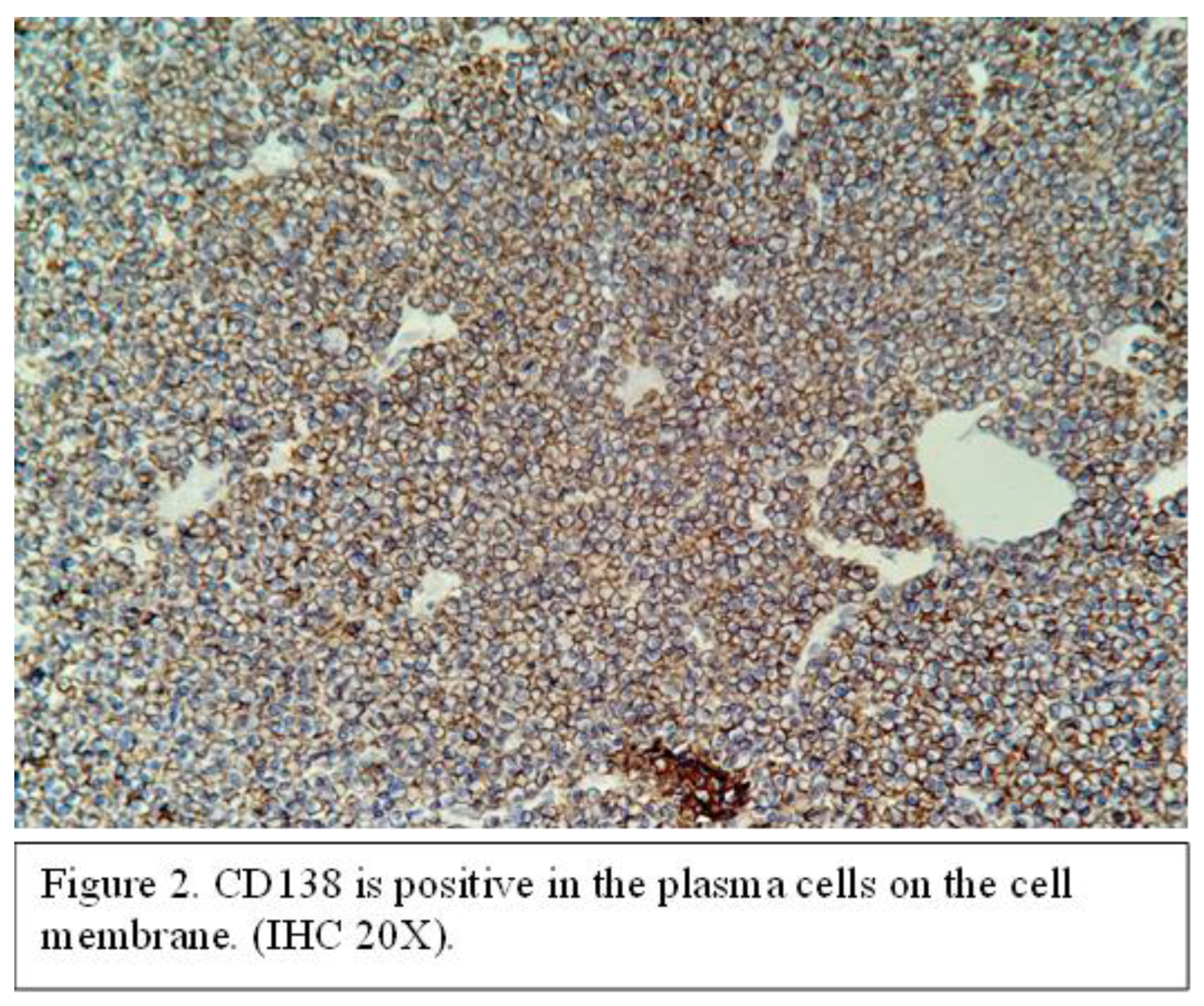 Preprints 166238 i002