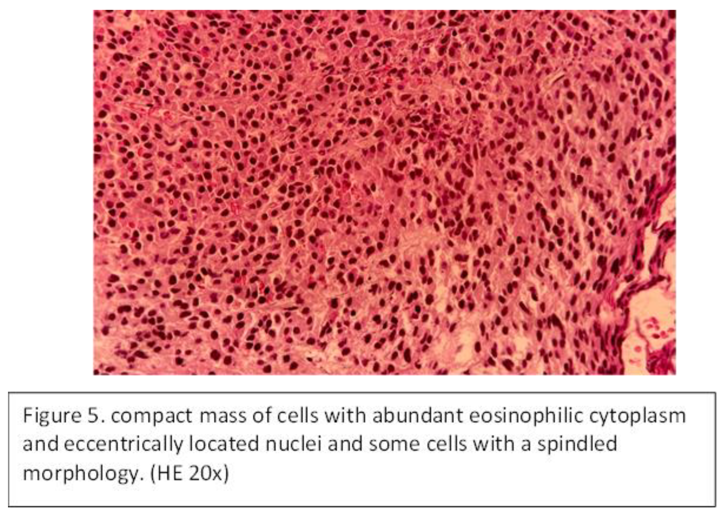 Preprints 166238 i005