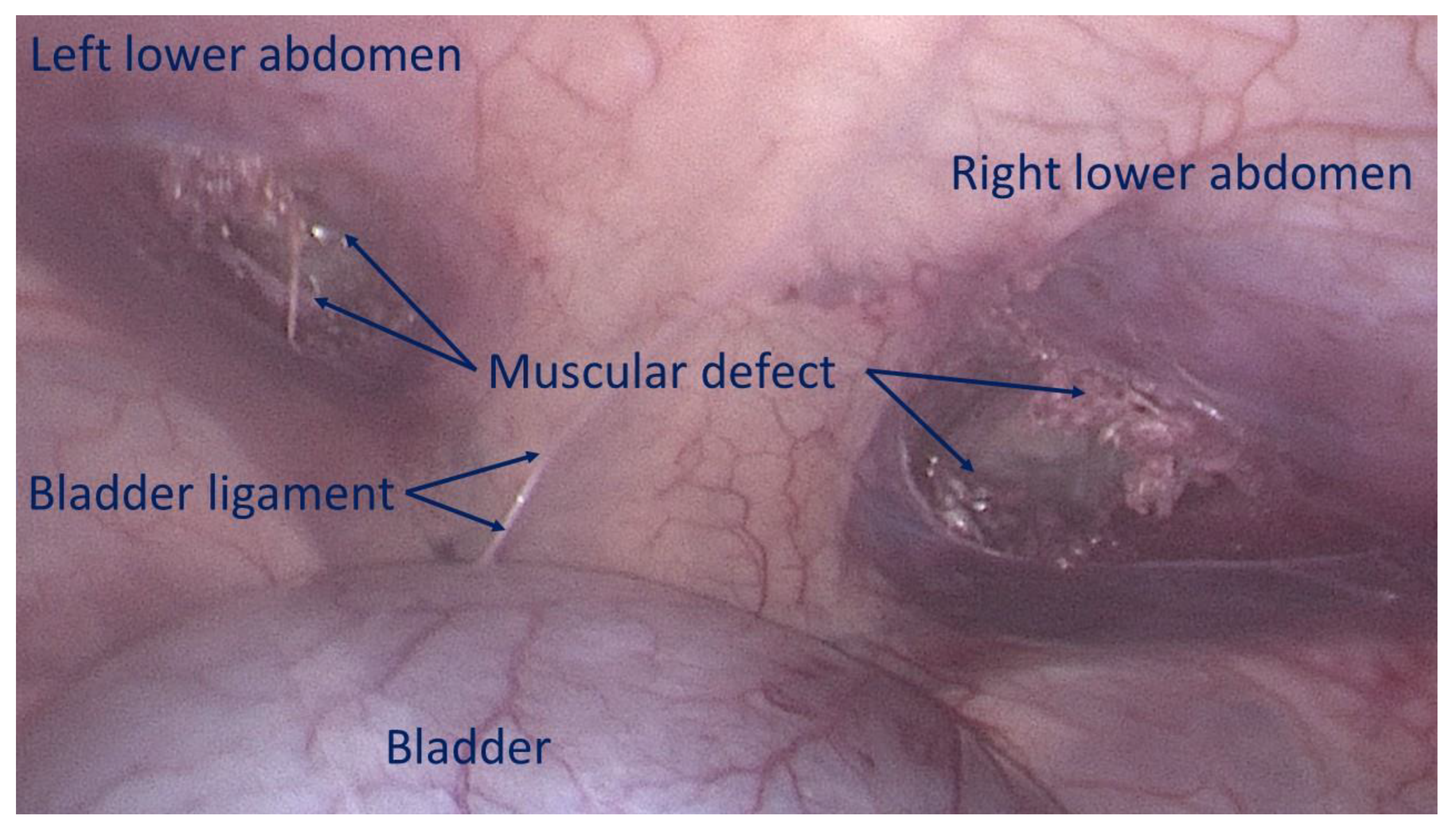 Preprints 149654 g003