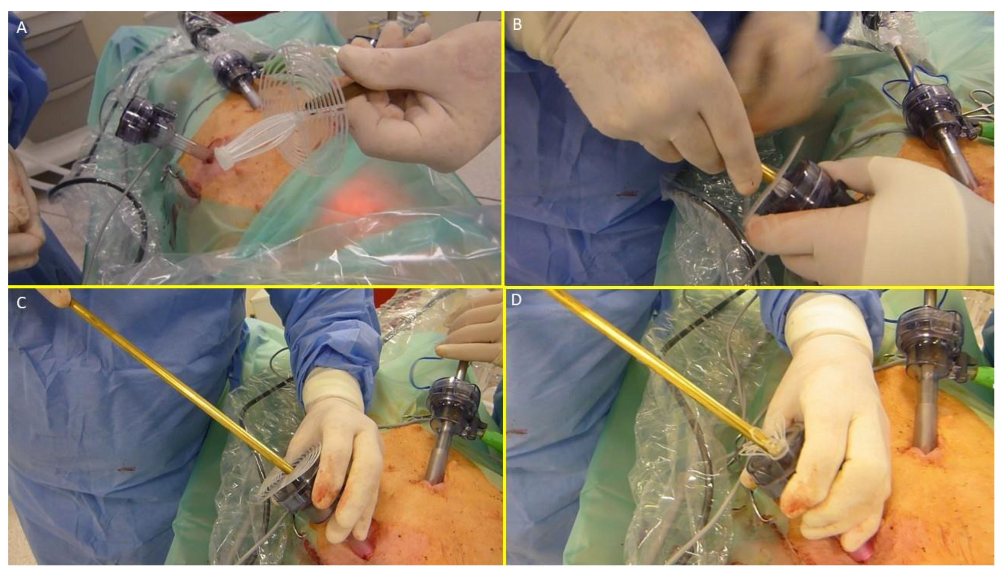 Preprints 149654 g004