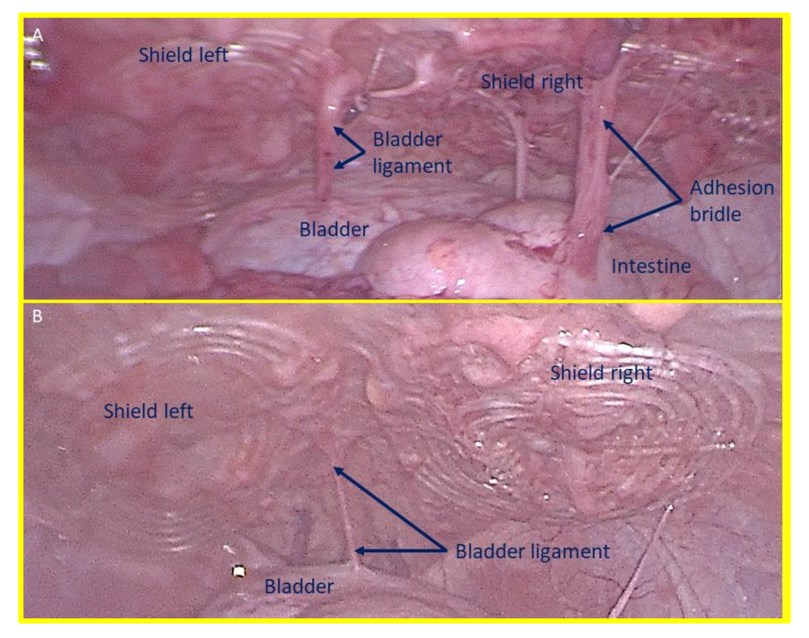 Preprints 149654 g008