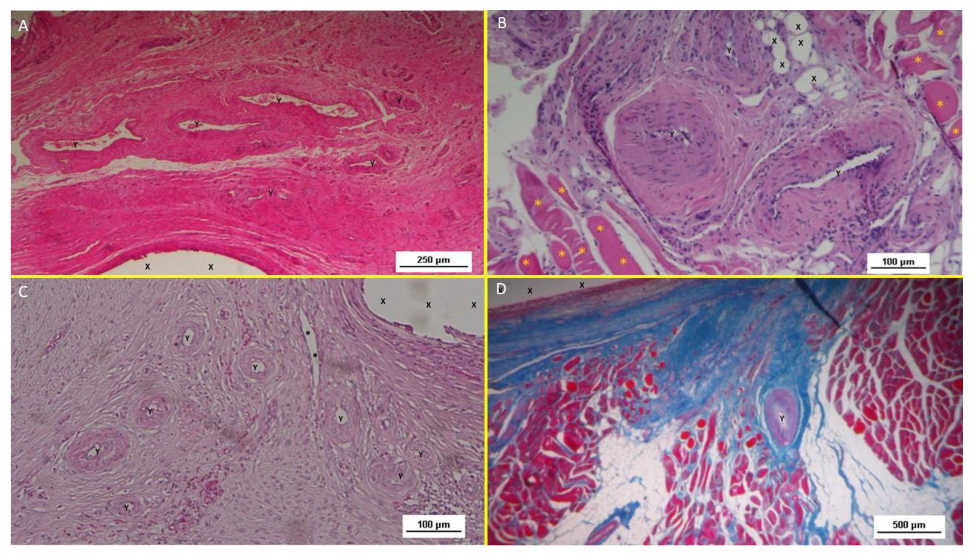 Preprints 149654 g010