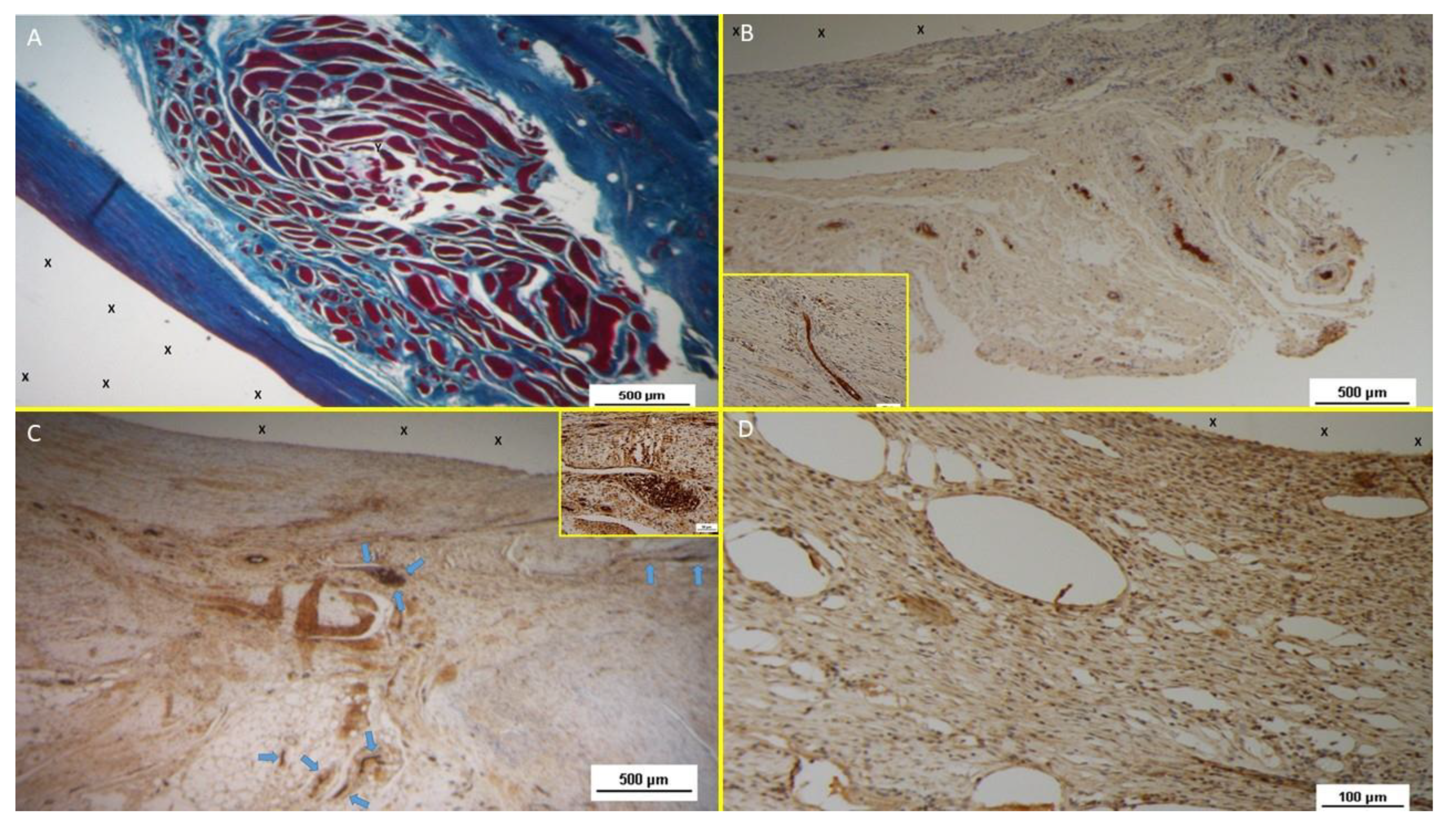 Preprints 149654 g011
