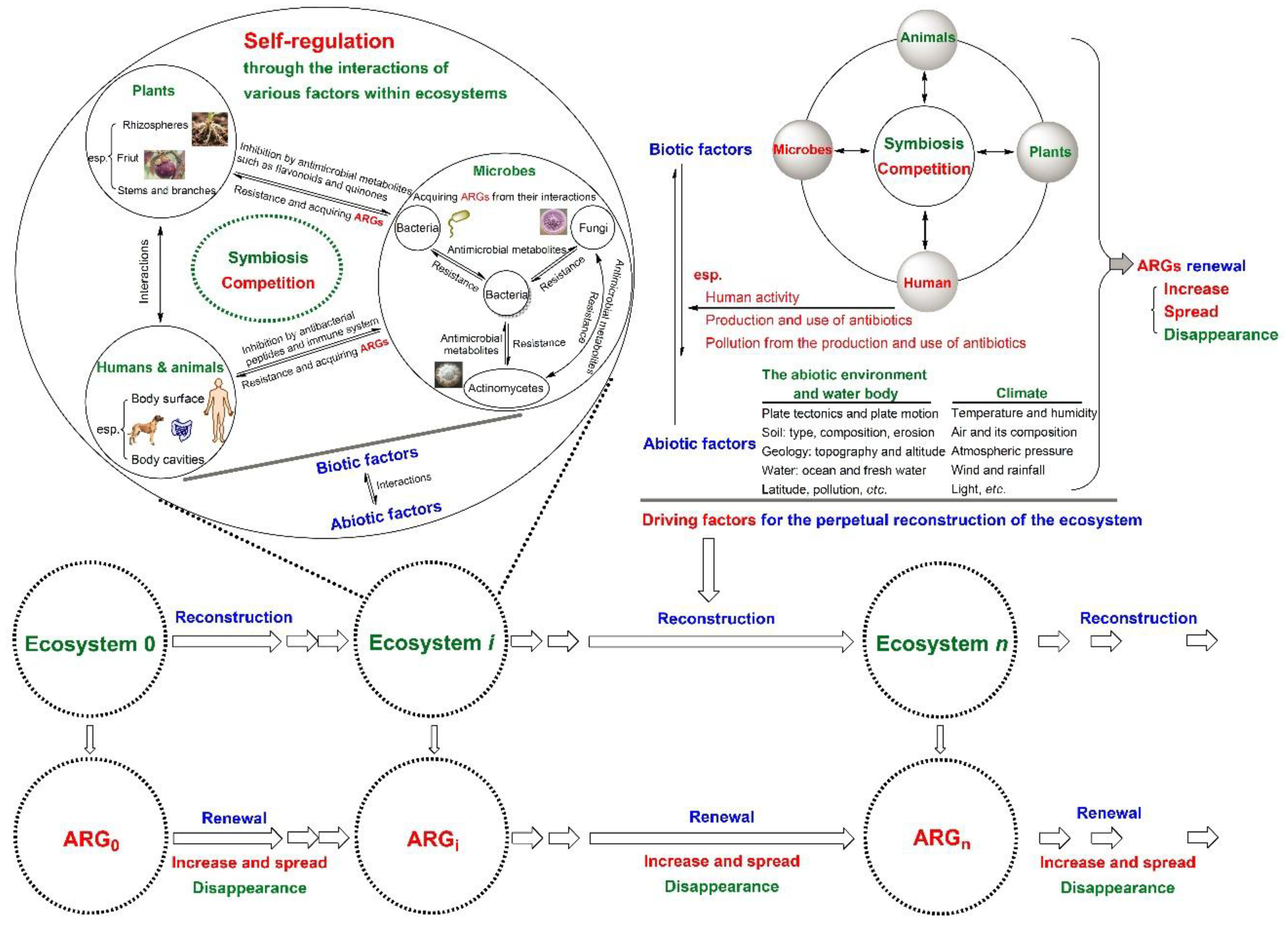 Preprints 176063 g002