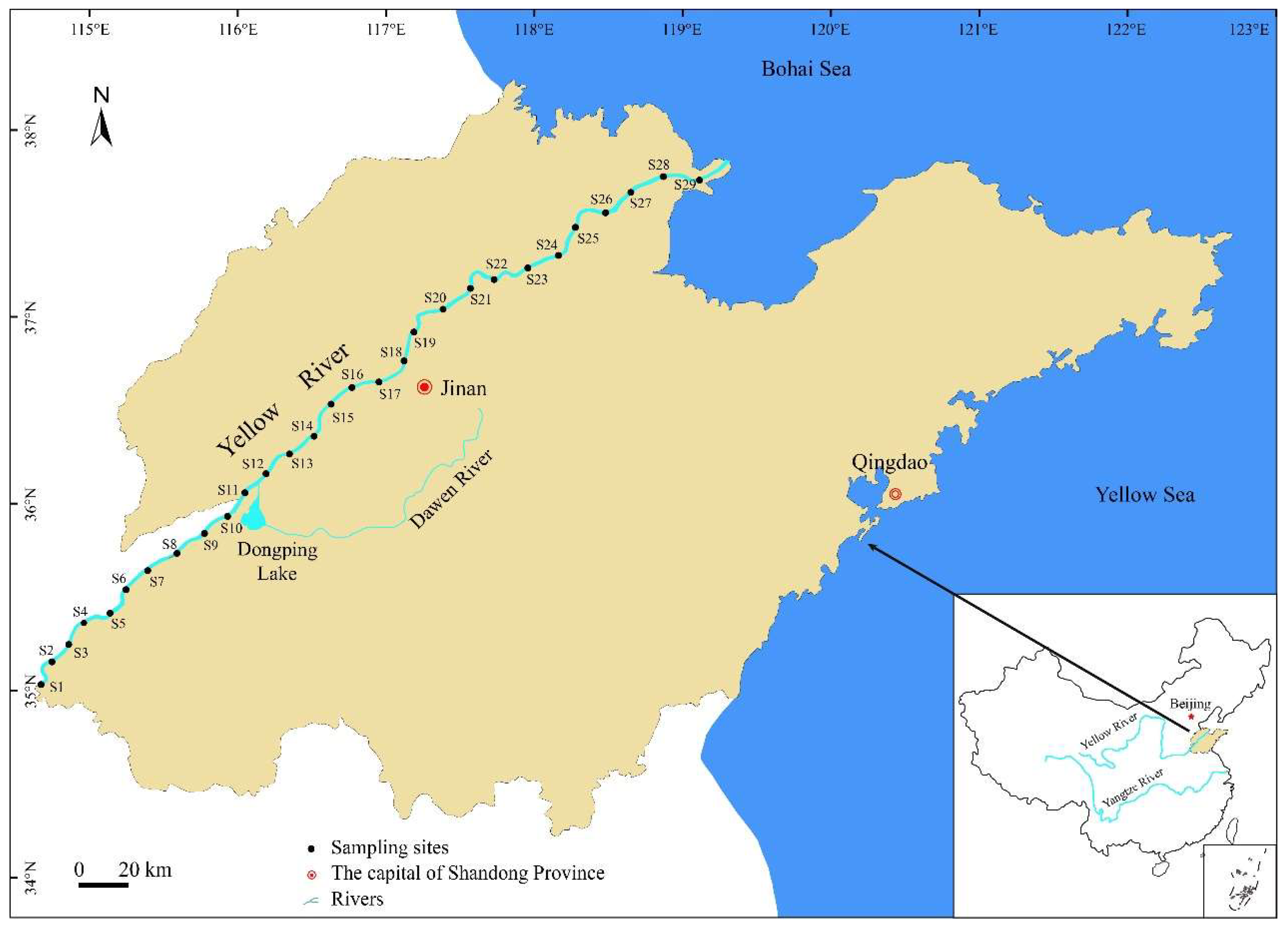Preprints 144520 g001