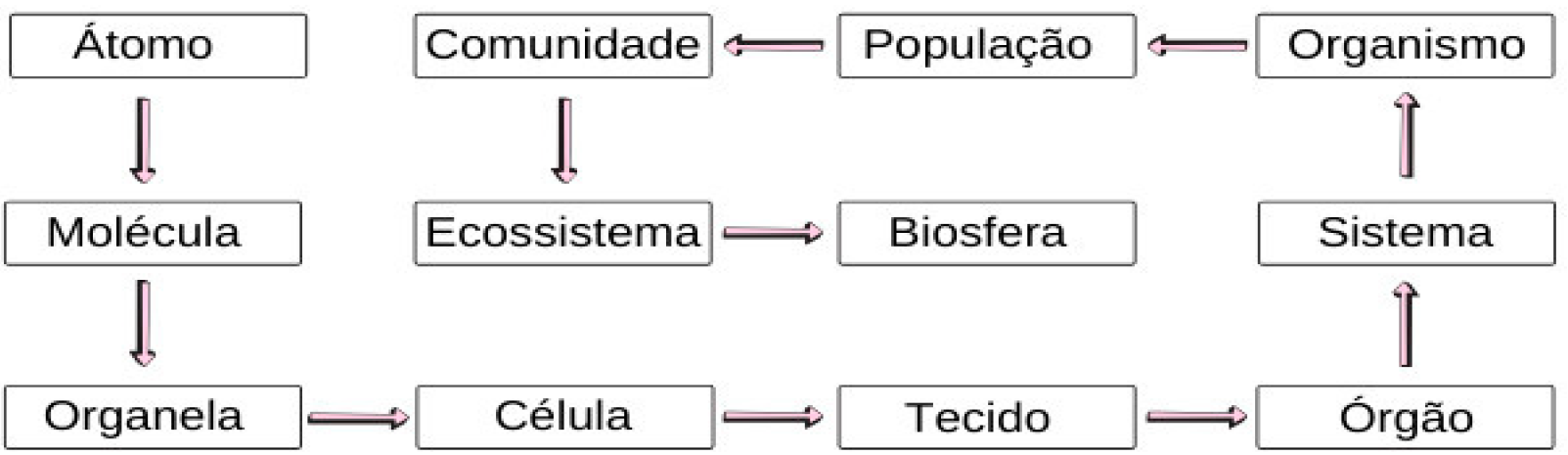 Preprints 88491 g005