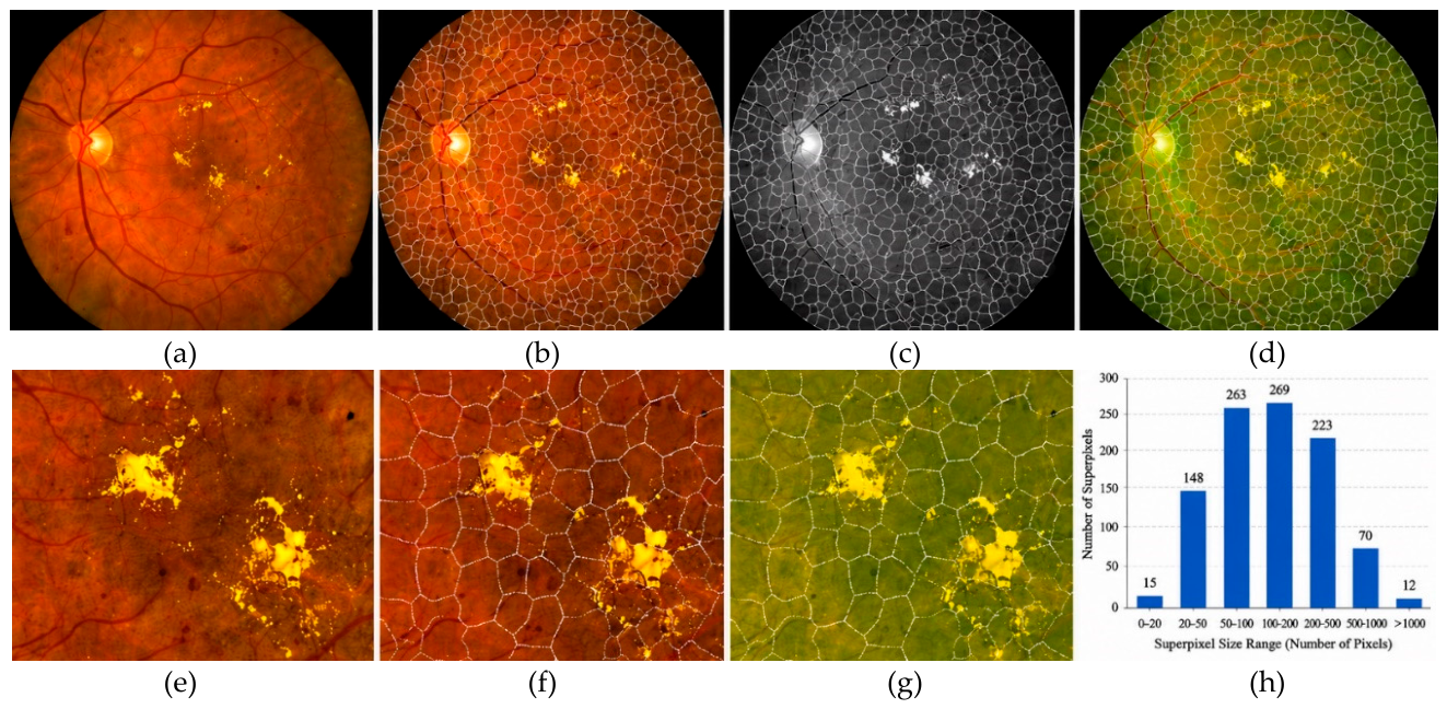 Preprints 231887 g004 Preprints 231887 g004