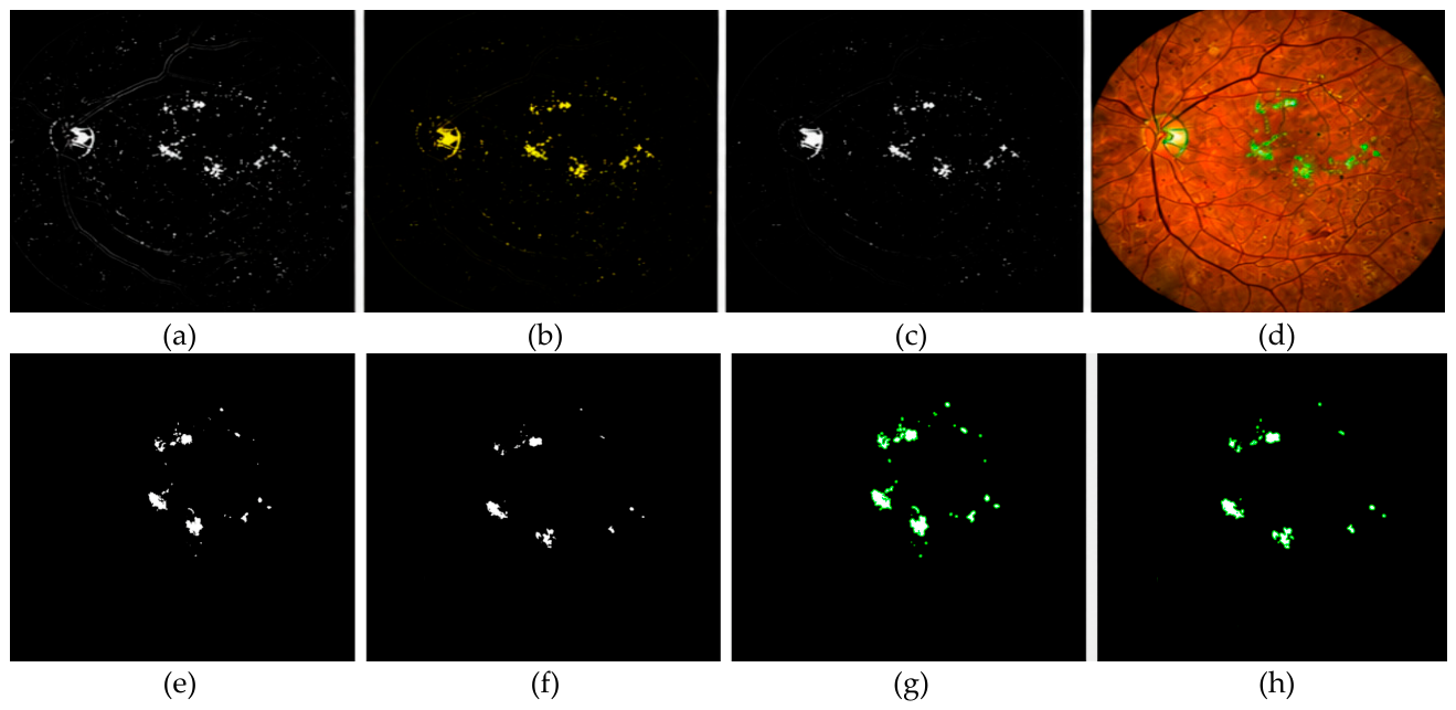 Preprints 231887 g005 Preprints 231887 g005