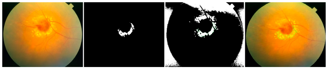 Preprints 231887 g010 Preprints 231887 g010