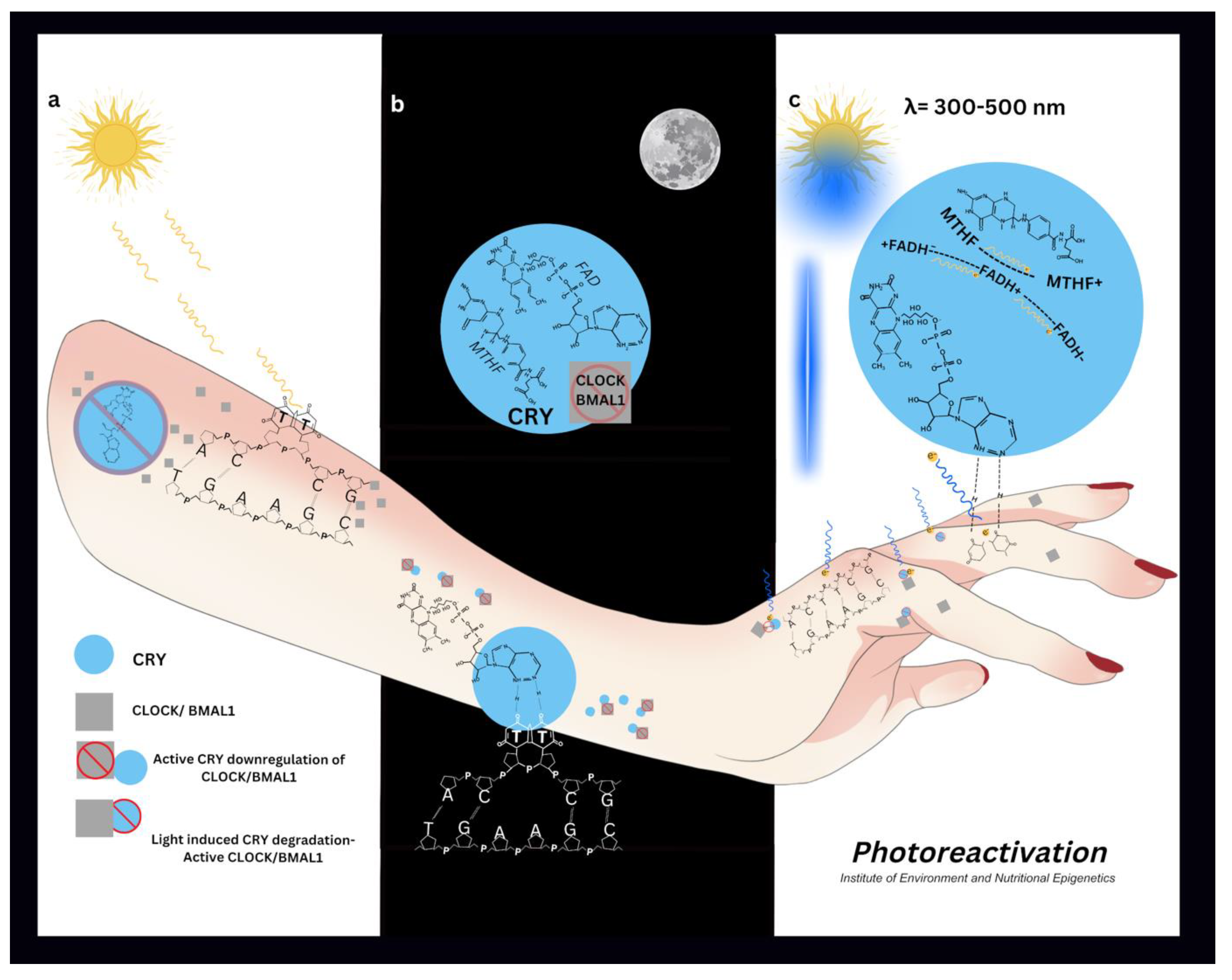 Preprints 154138 g001