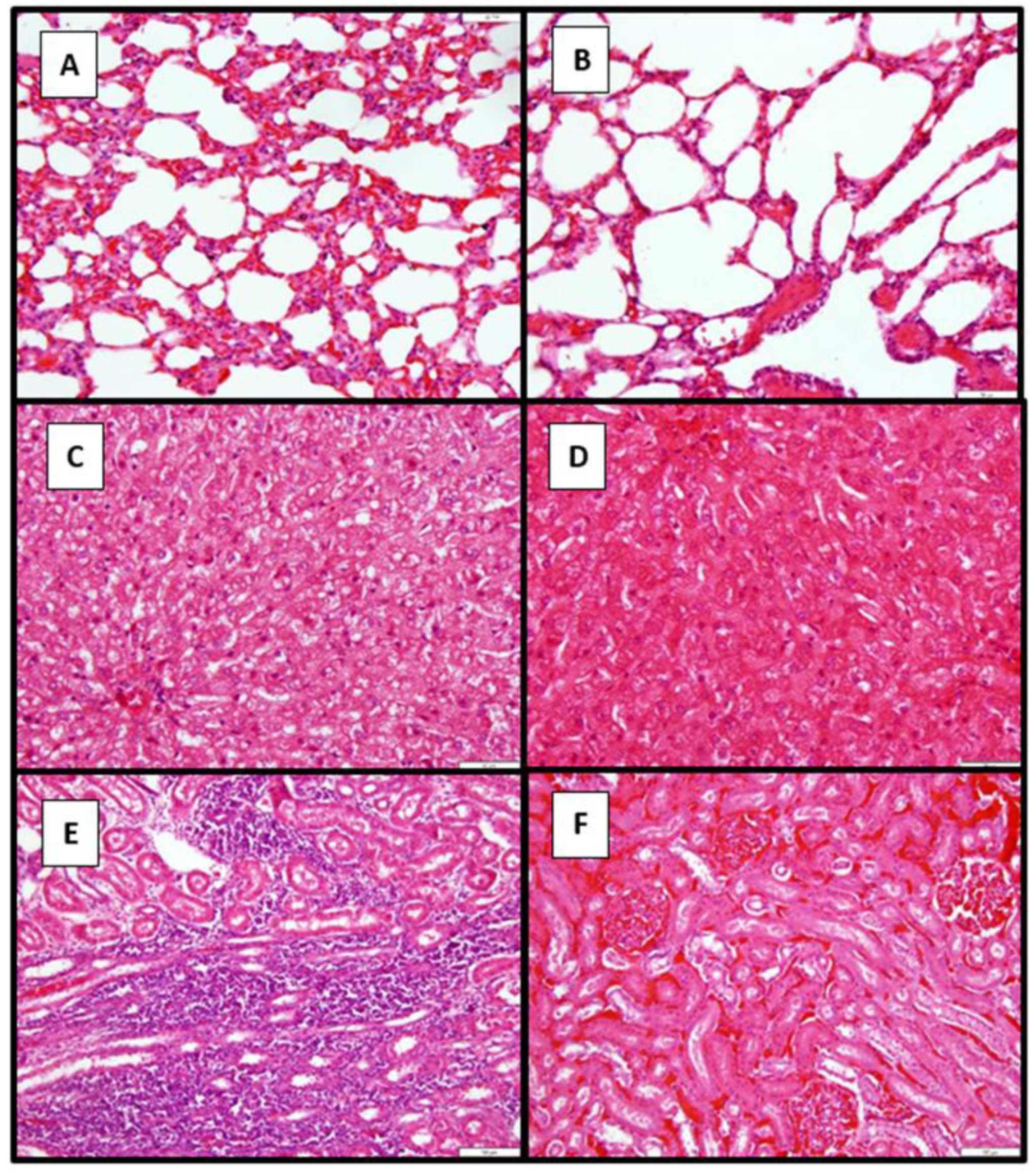 Preprints 157788 g012