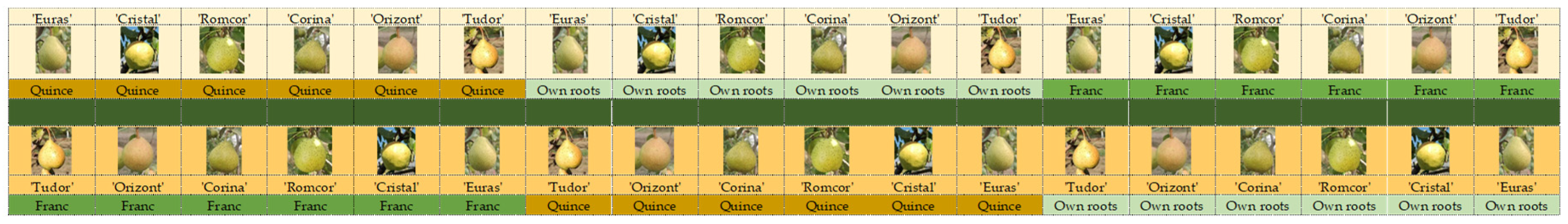 Preprints 121968 g002