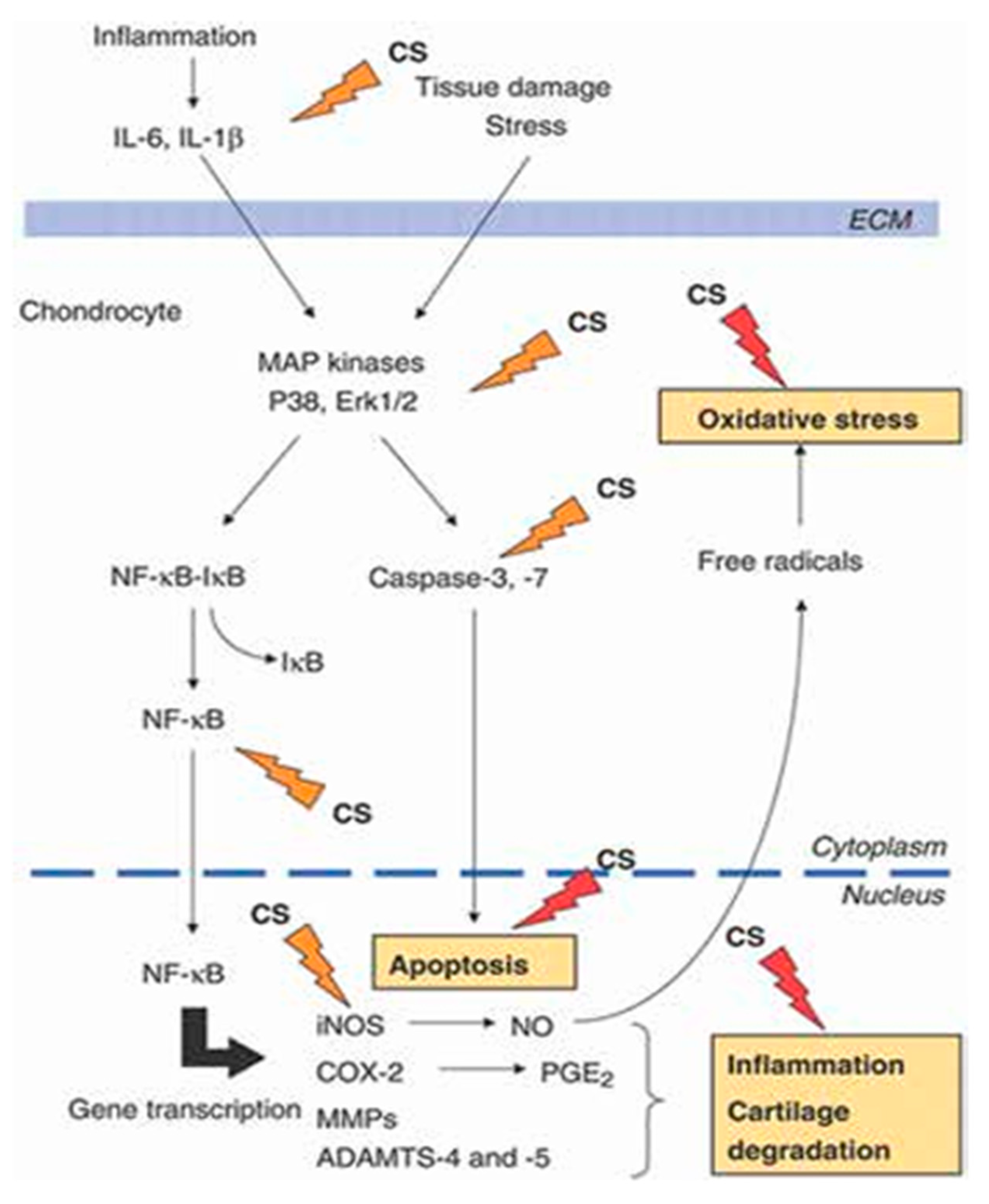 Preprints 182234 g001