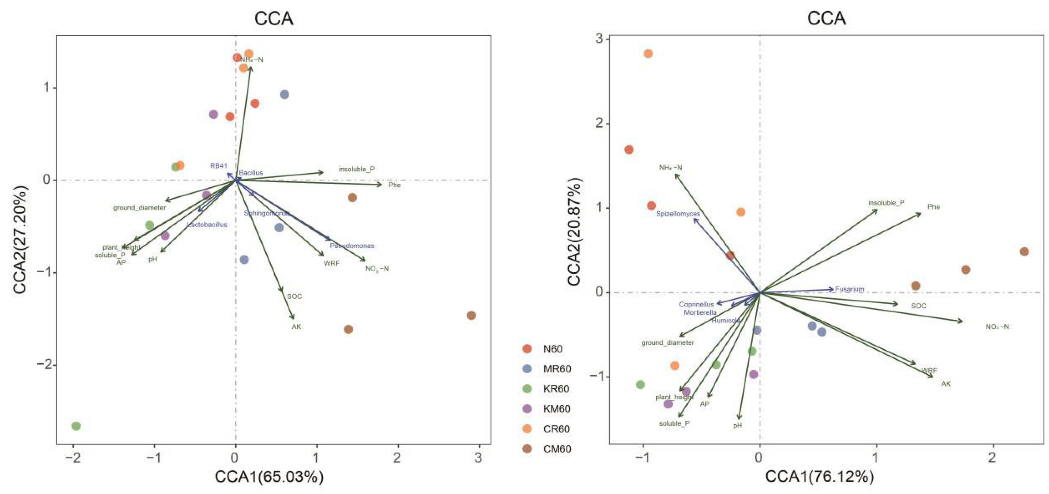 Preprints 164489 g006