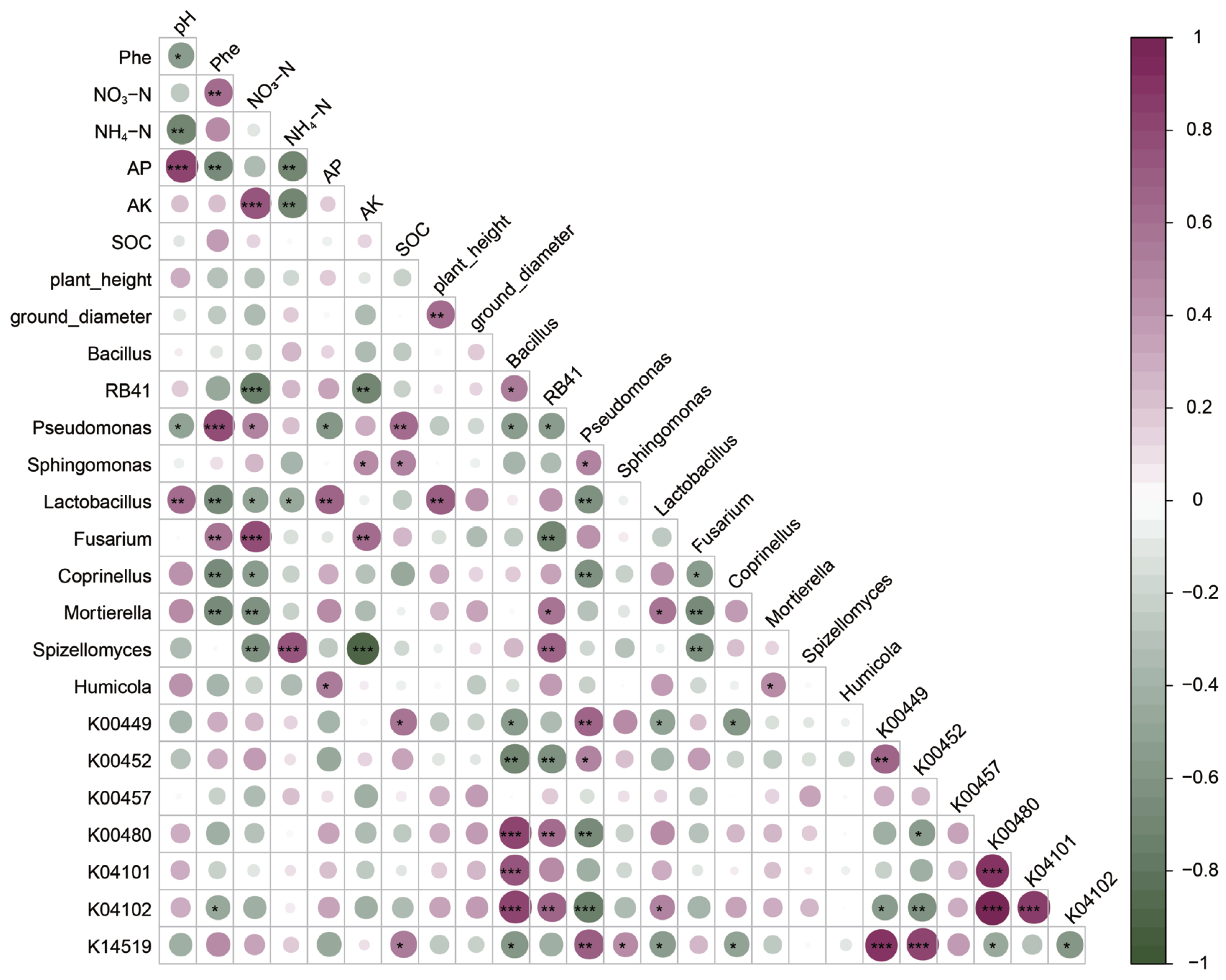 Preprints 164489 g008