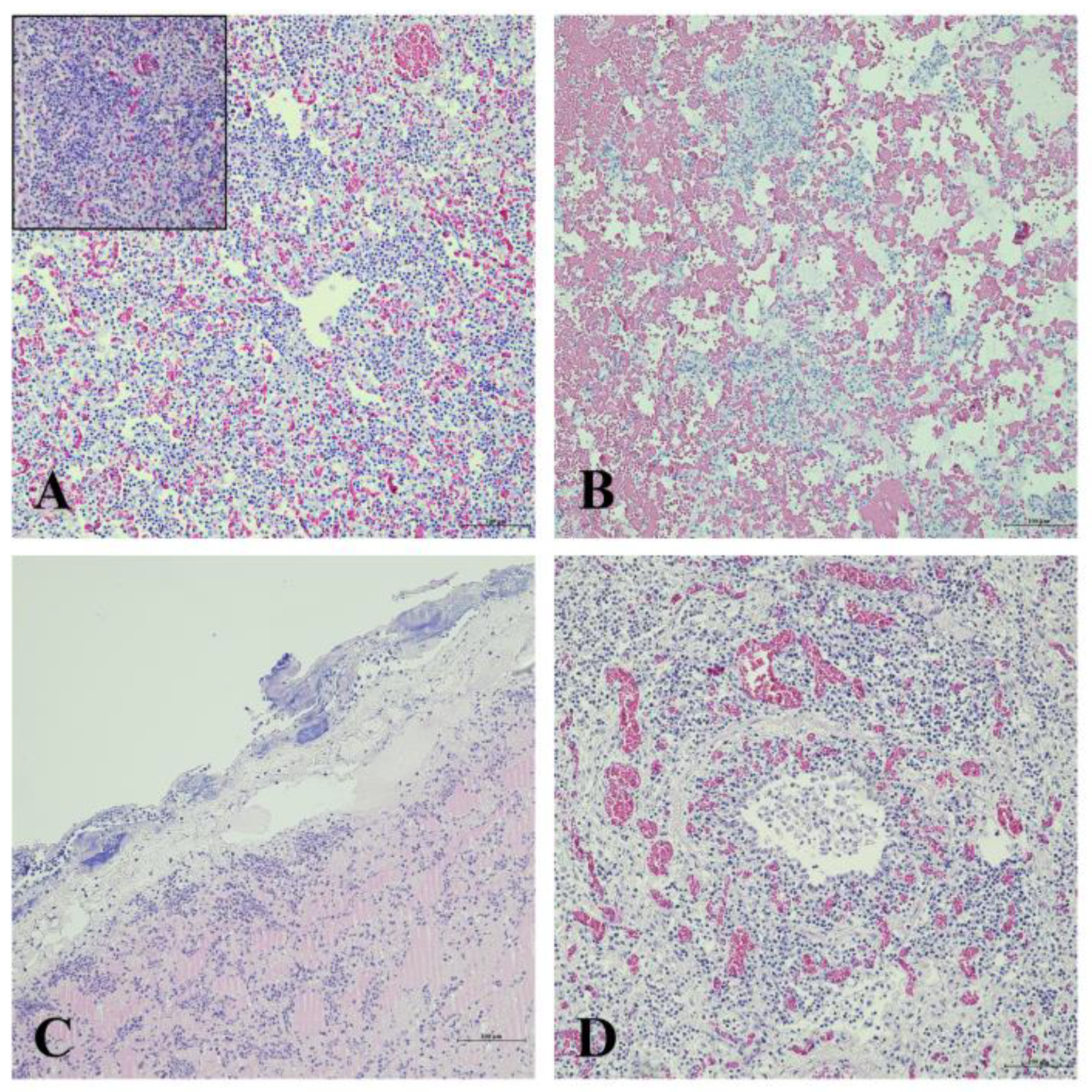 Preprints 107727 g007