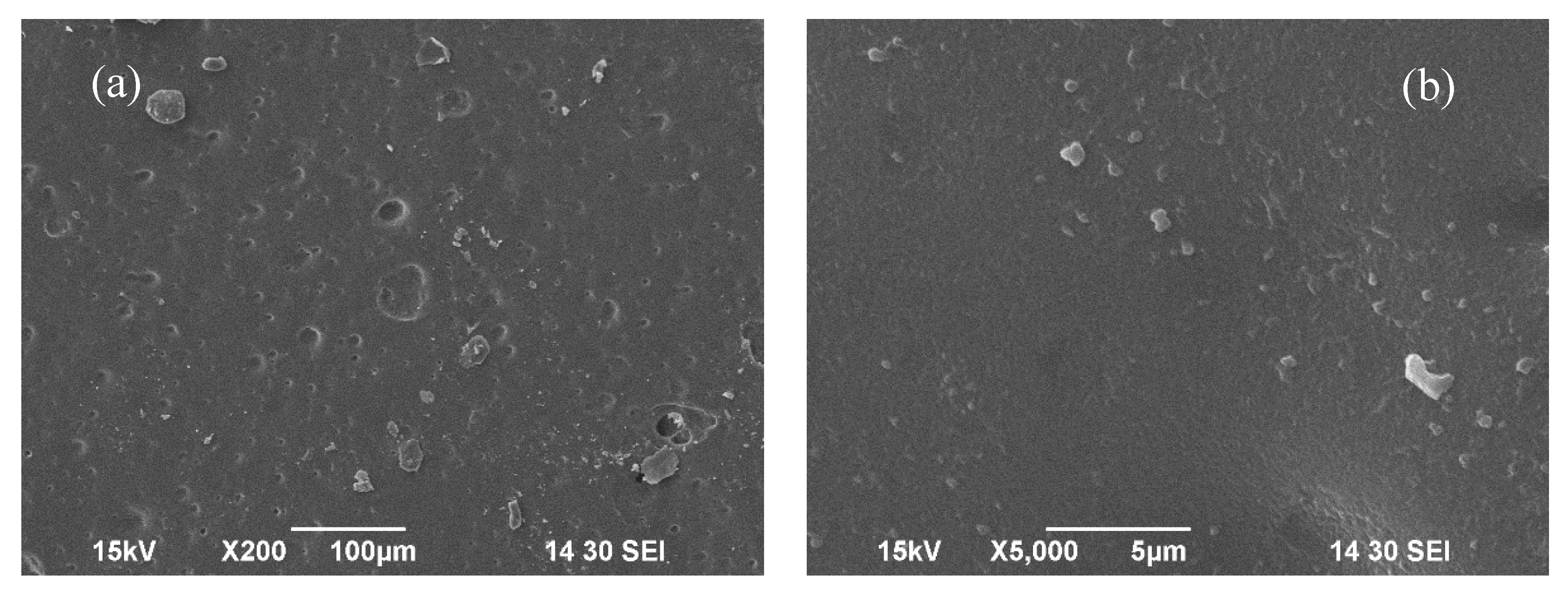 Preprints 164139 g003