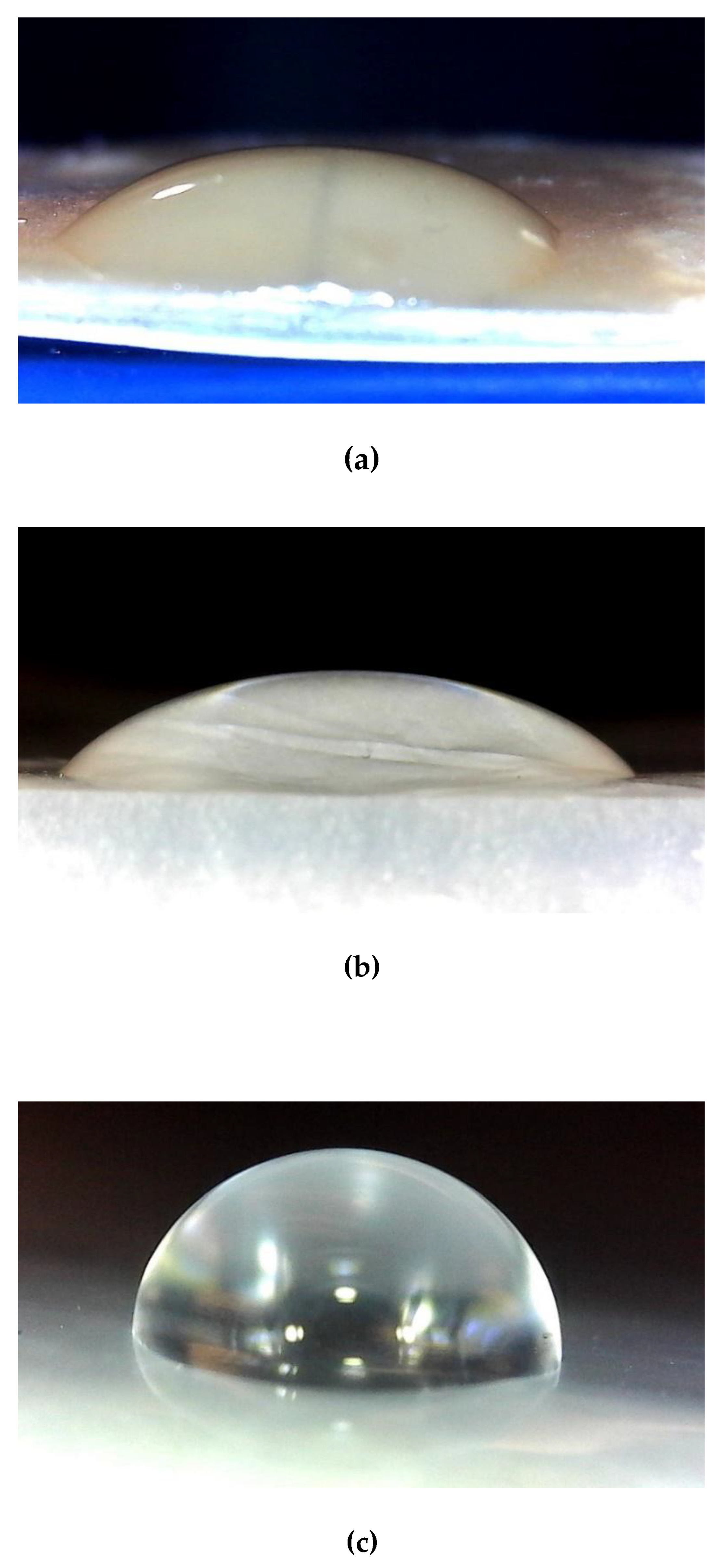 Preprints 164139 g004