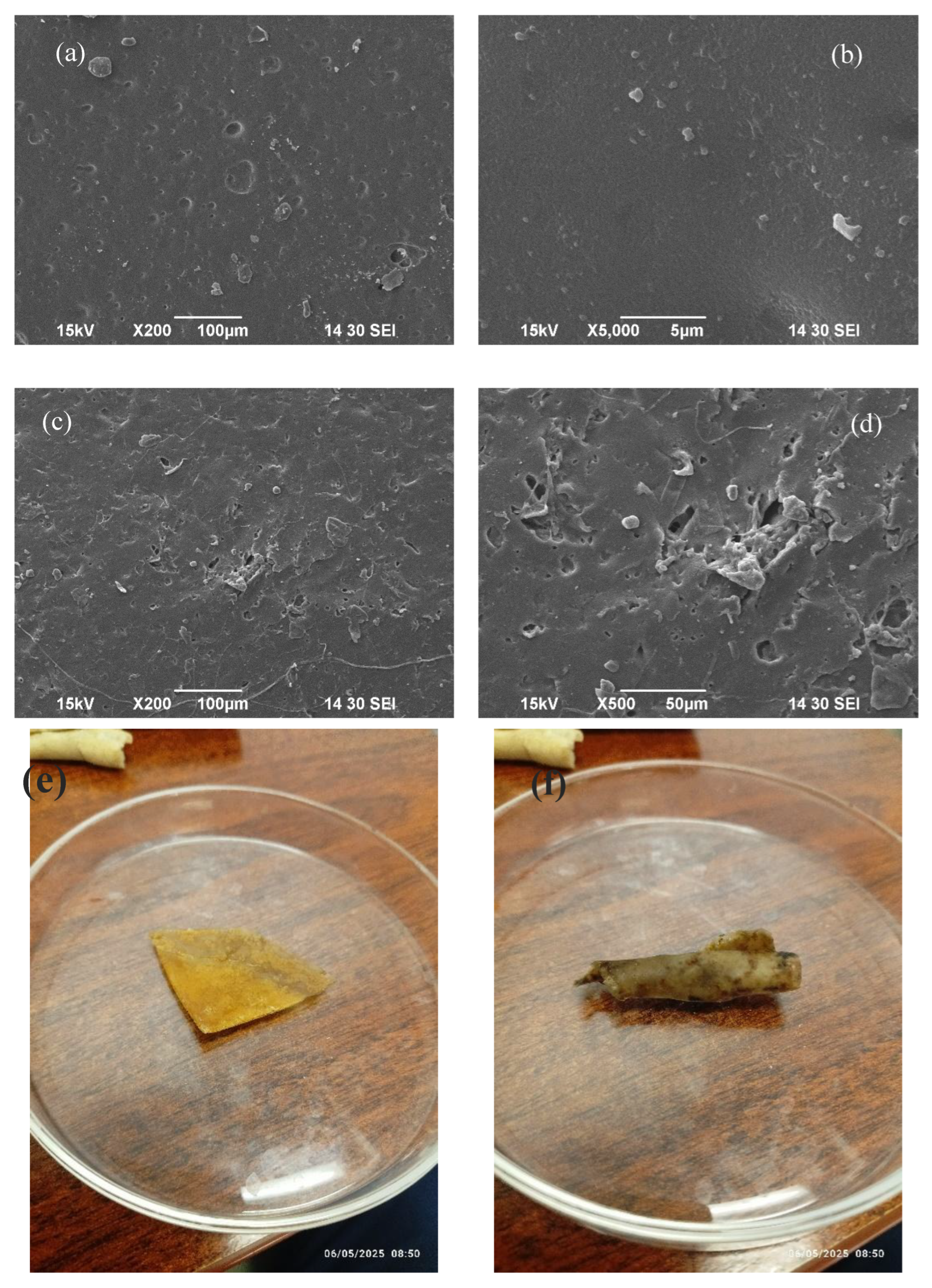 Preprints 164139 g008