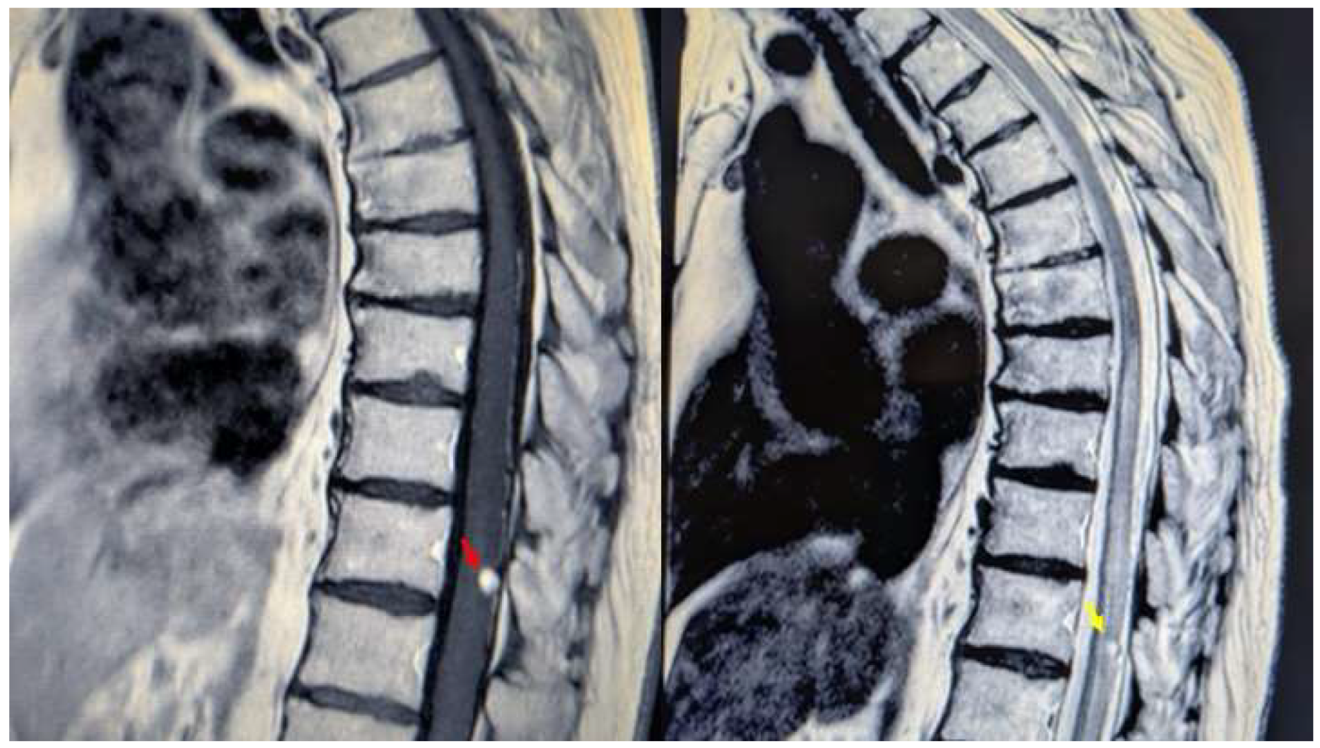 Preprints 154098 g001