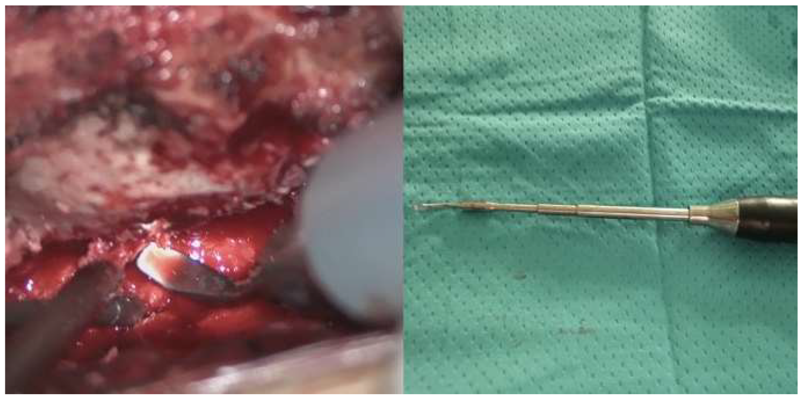 Preprints 154098 g004