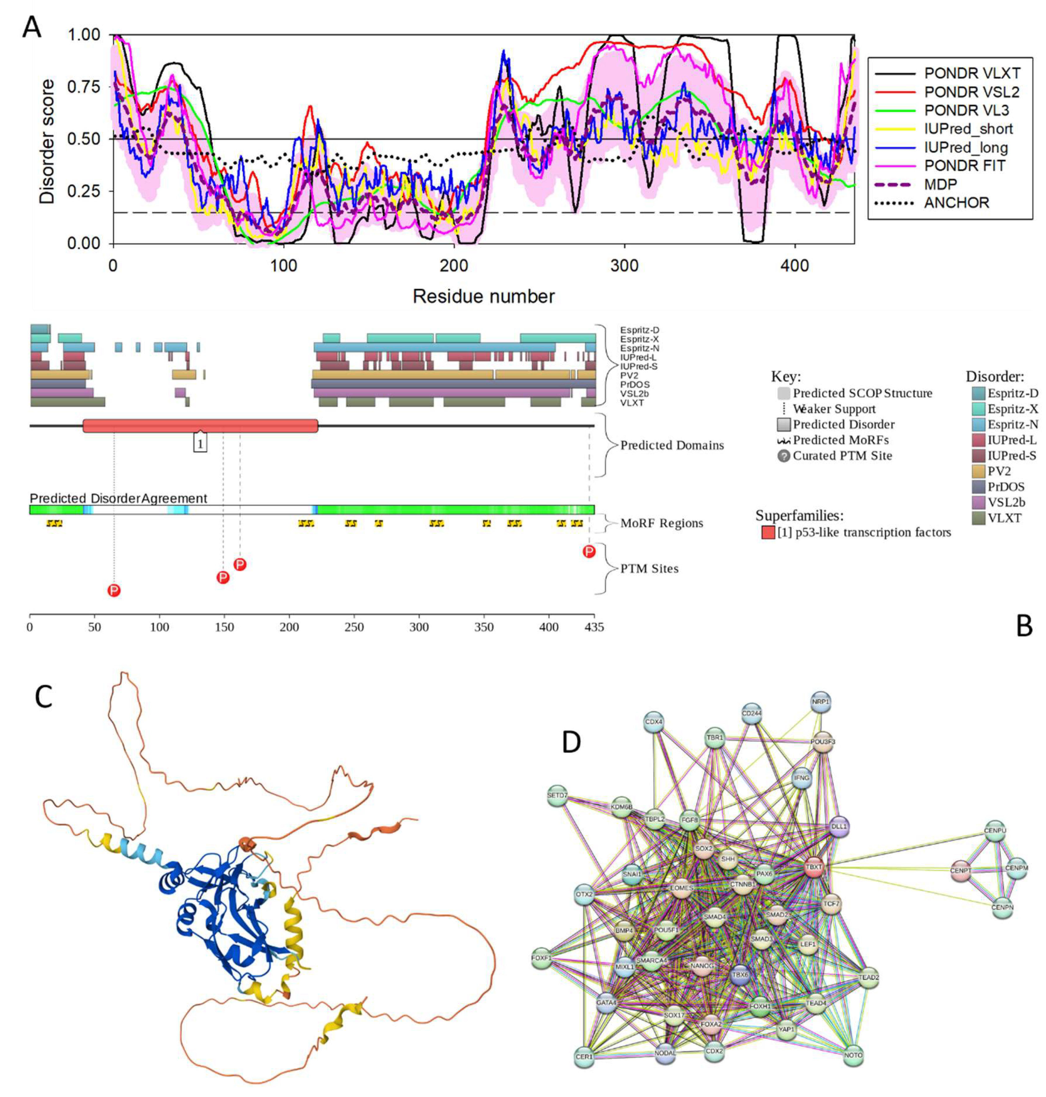 Preprints 148187 g019