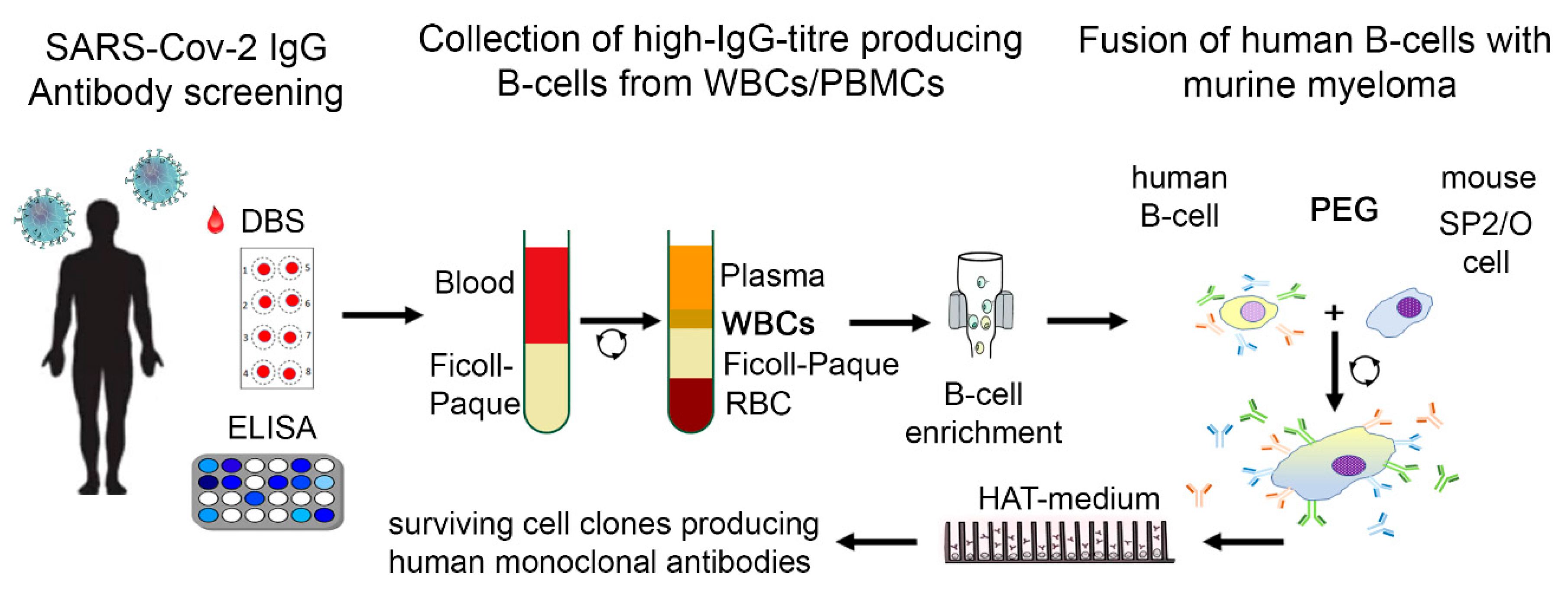 Preprints 73218 g001