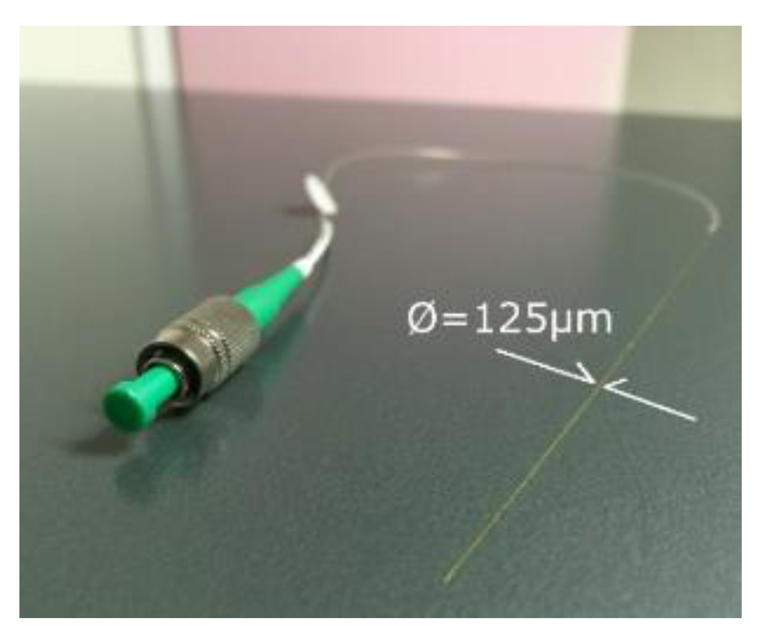 Preprints 141138 g003