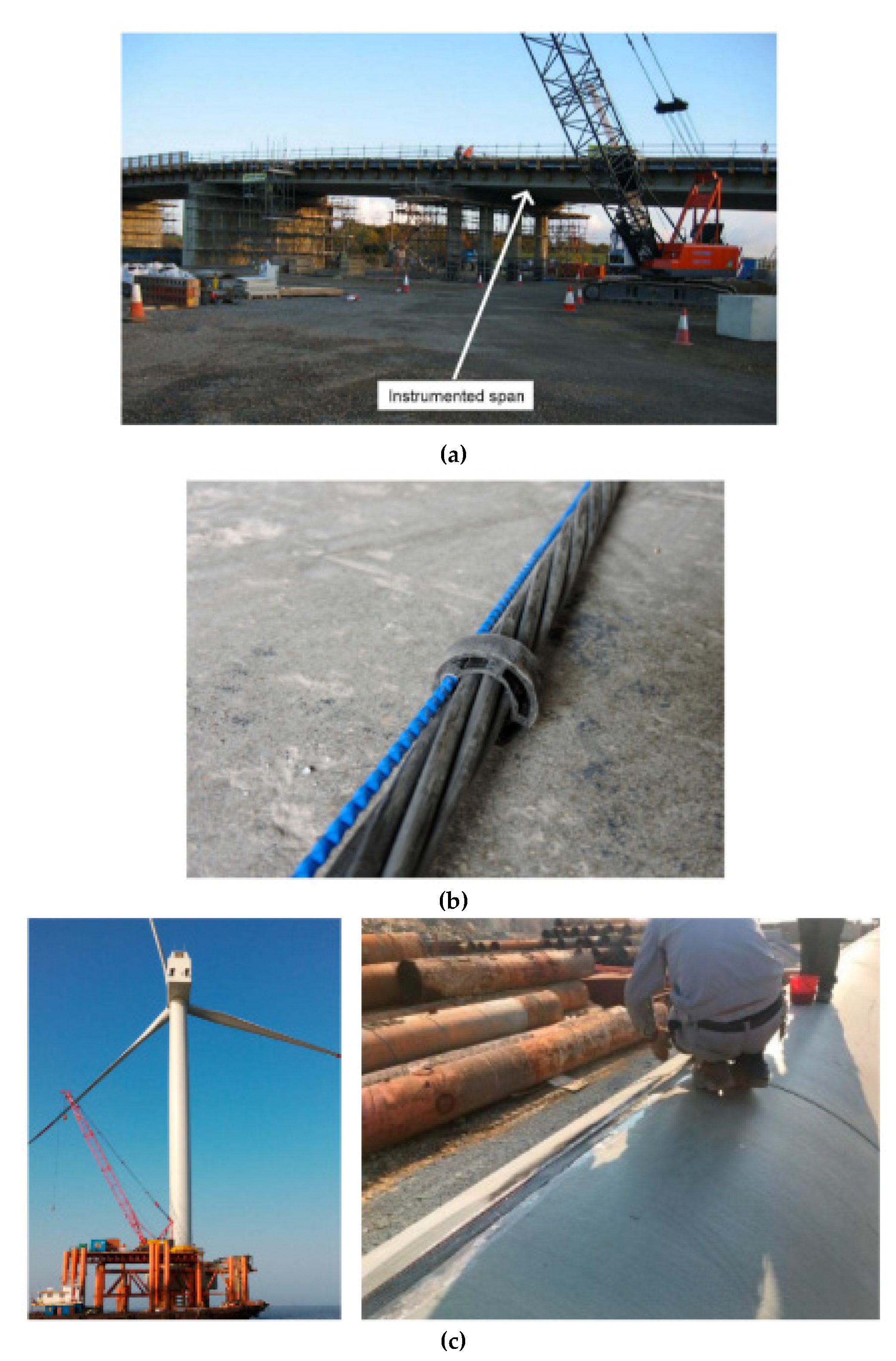 Preprints 141138 g004