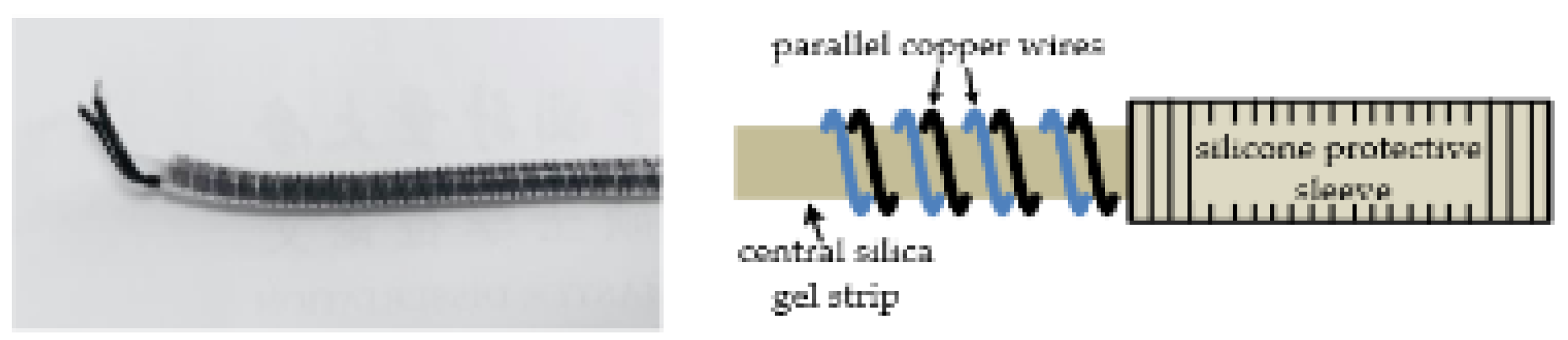 Preprints 141138 g011