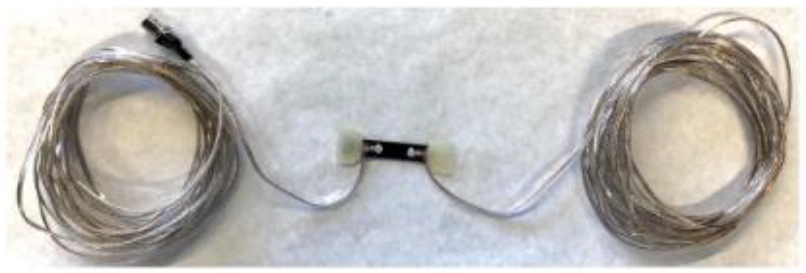 Preprints 141138 g012