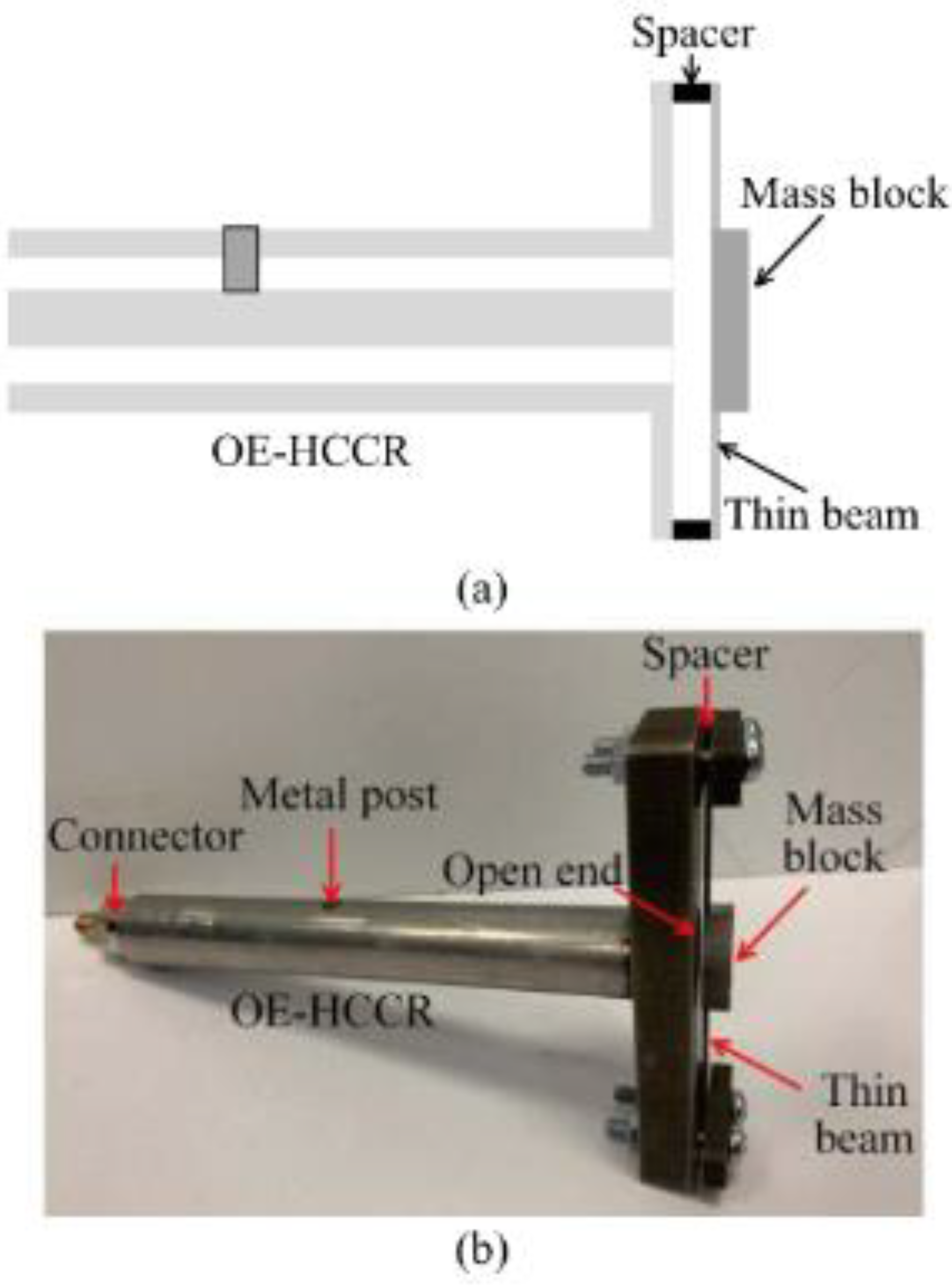 Preprints 141138 g023