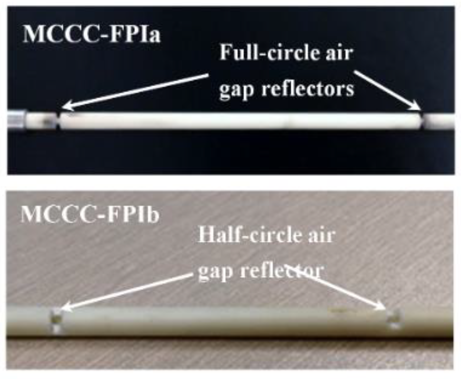 Preprints 141138 g029