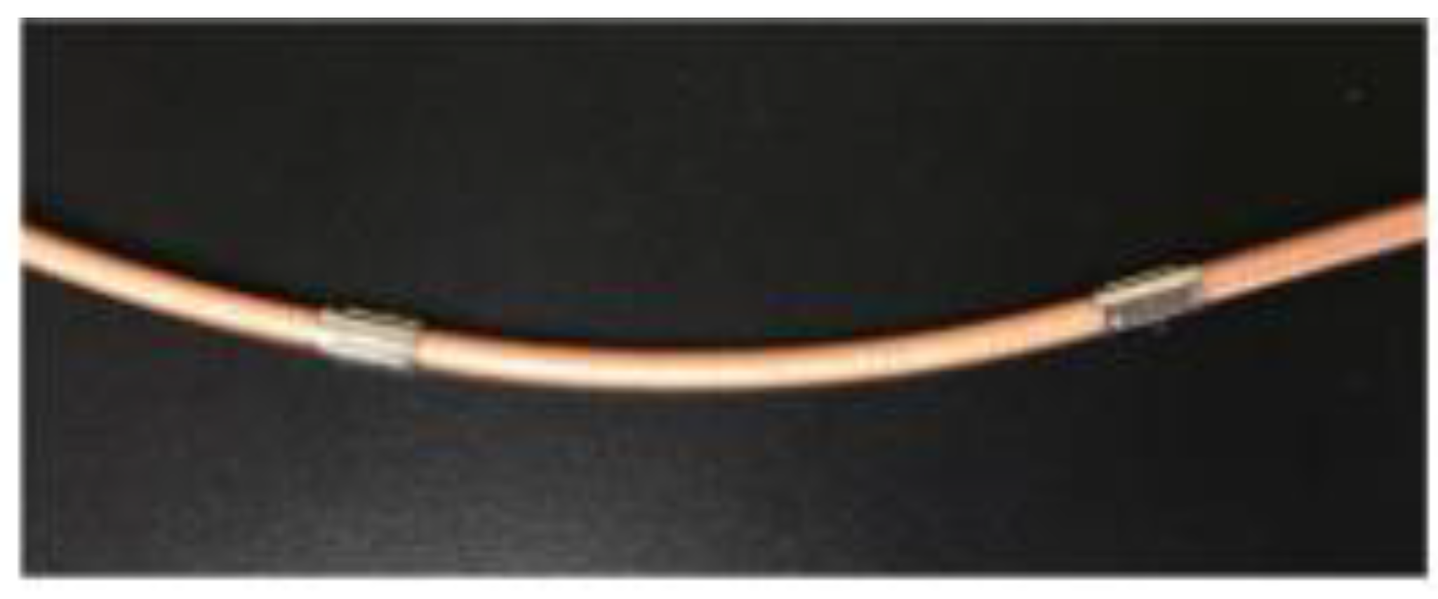 Preprints 141138 g030