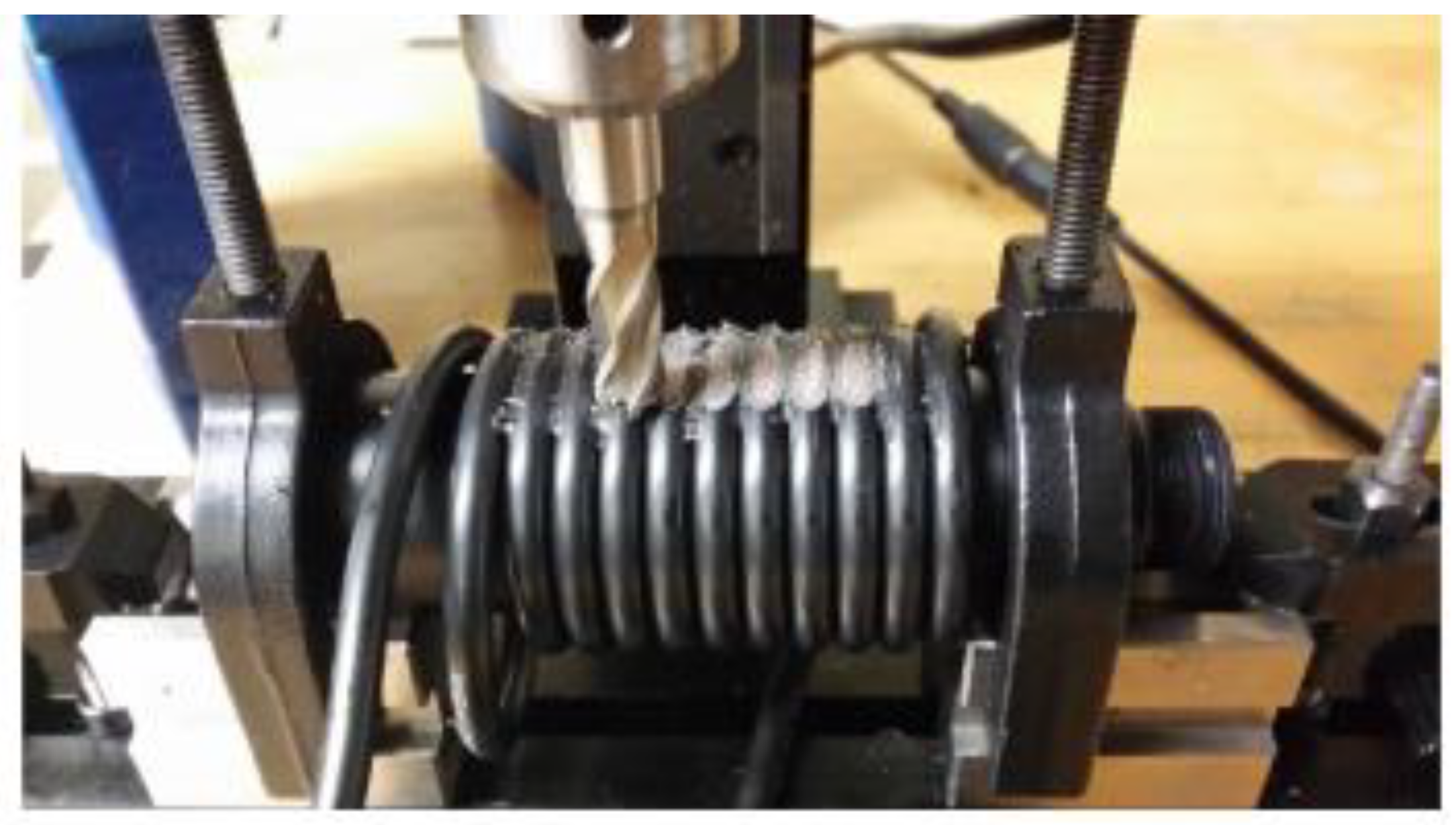 Preprints 141138 g033