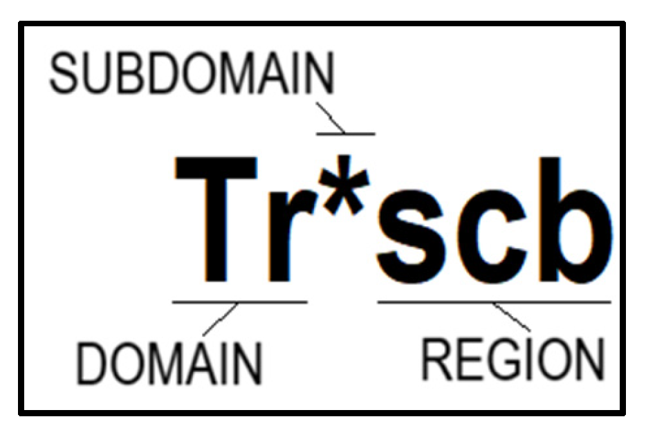 Preprints 196813 g003