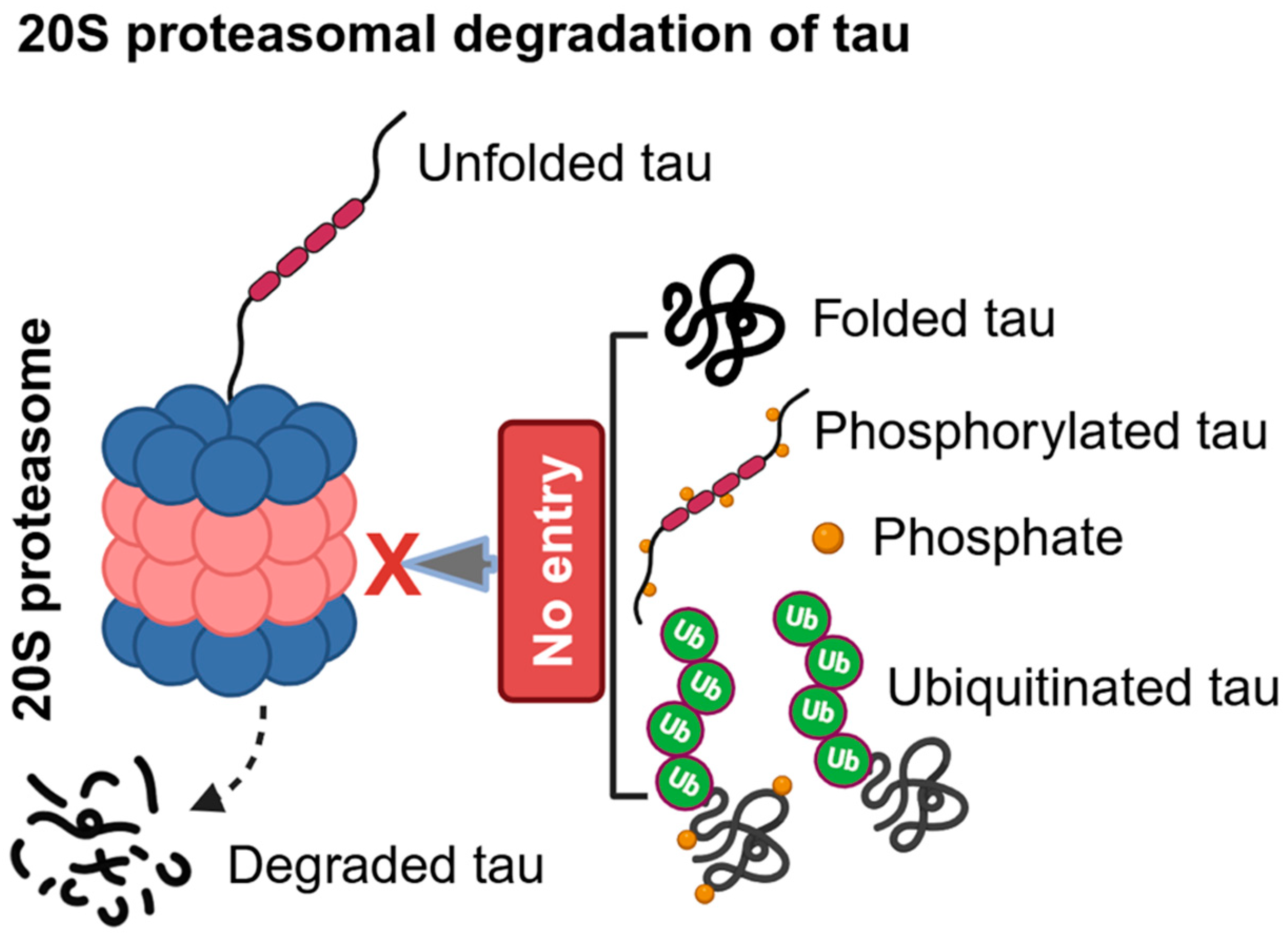 Preprints 121022 g001