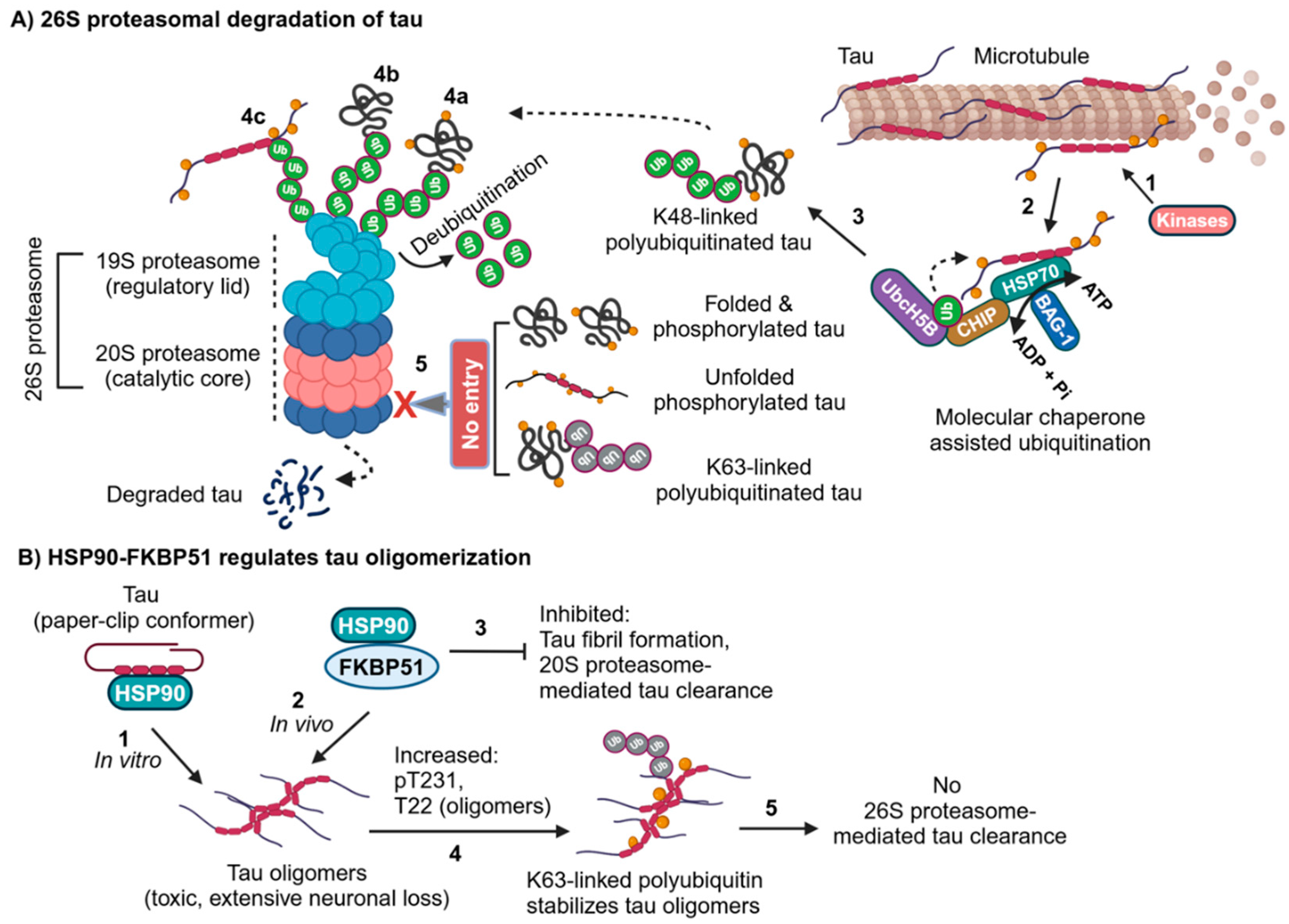 Preprints 121022 g002