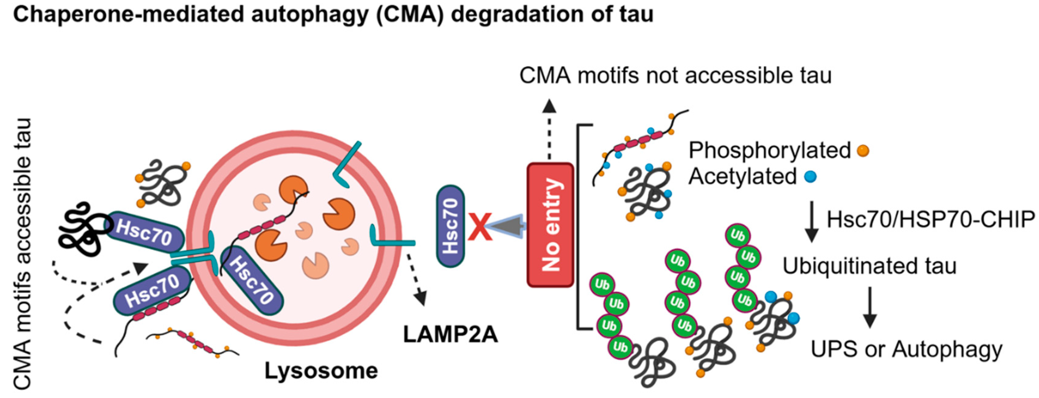 Preprints 121022 g003