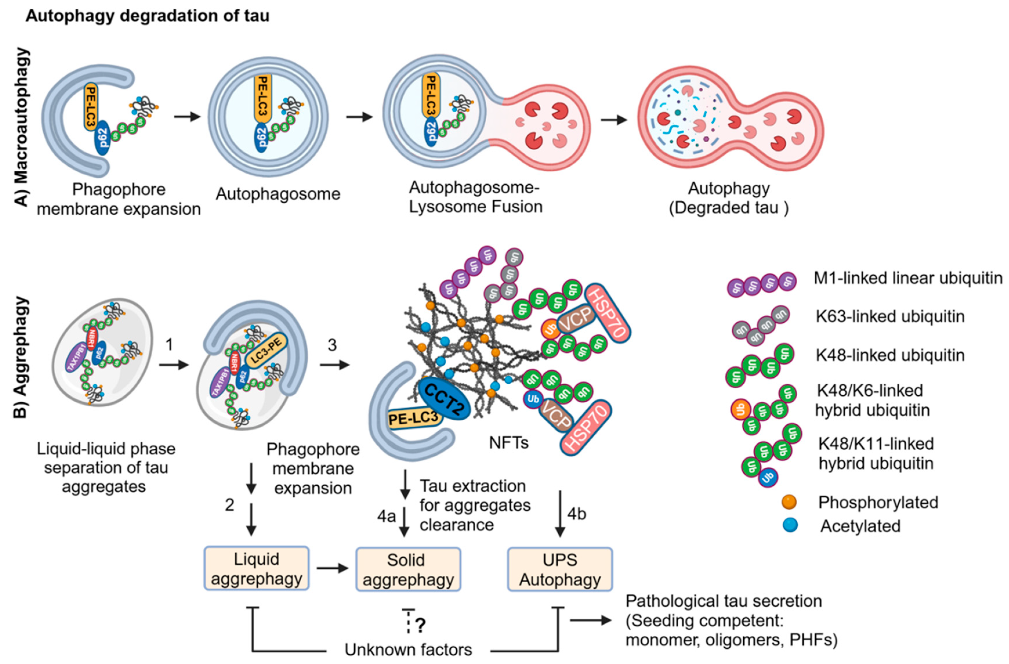 Preprints 121022 g004