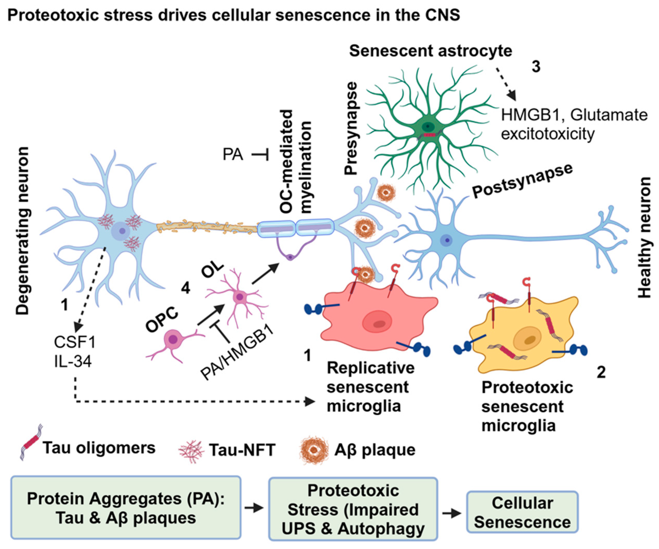Preprints 121022 g006