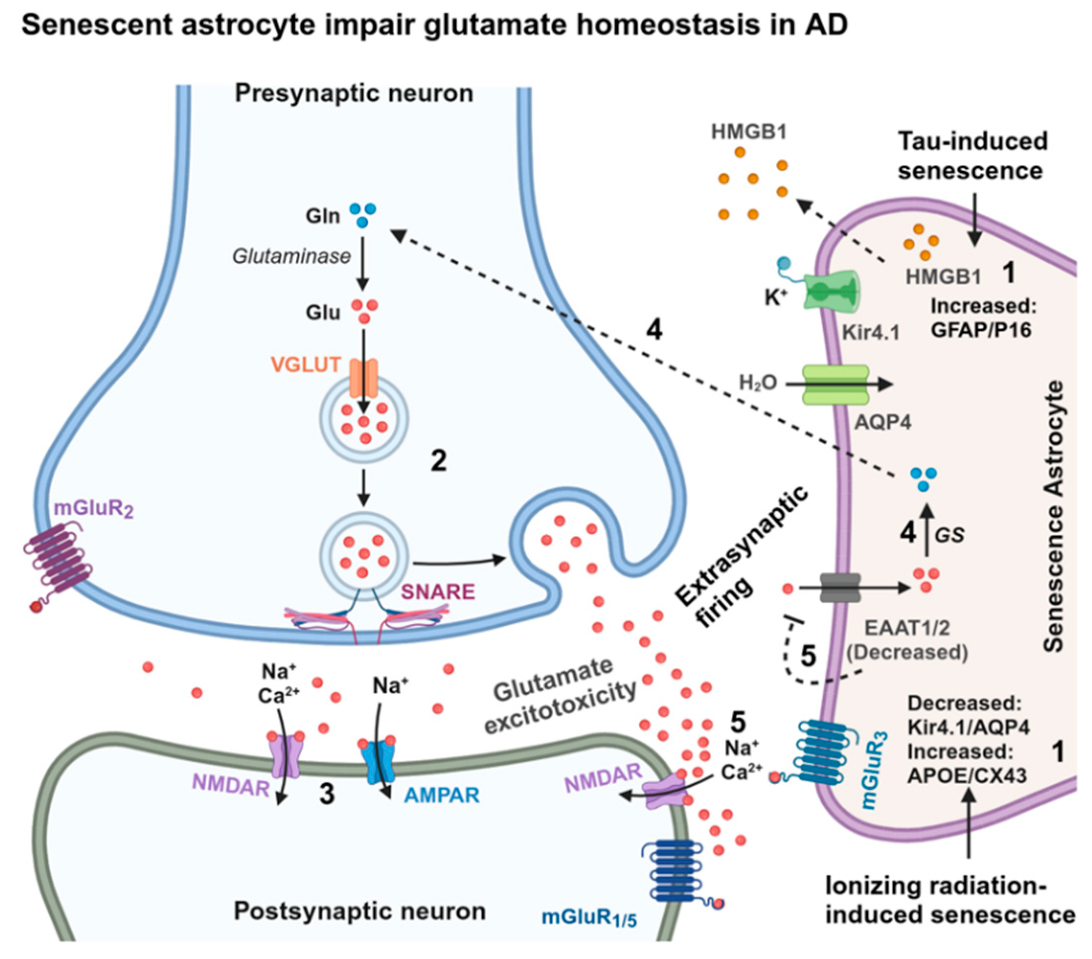 Preprints 121022 g007