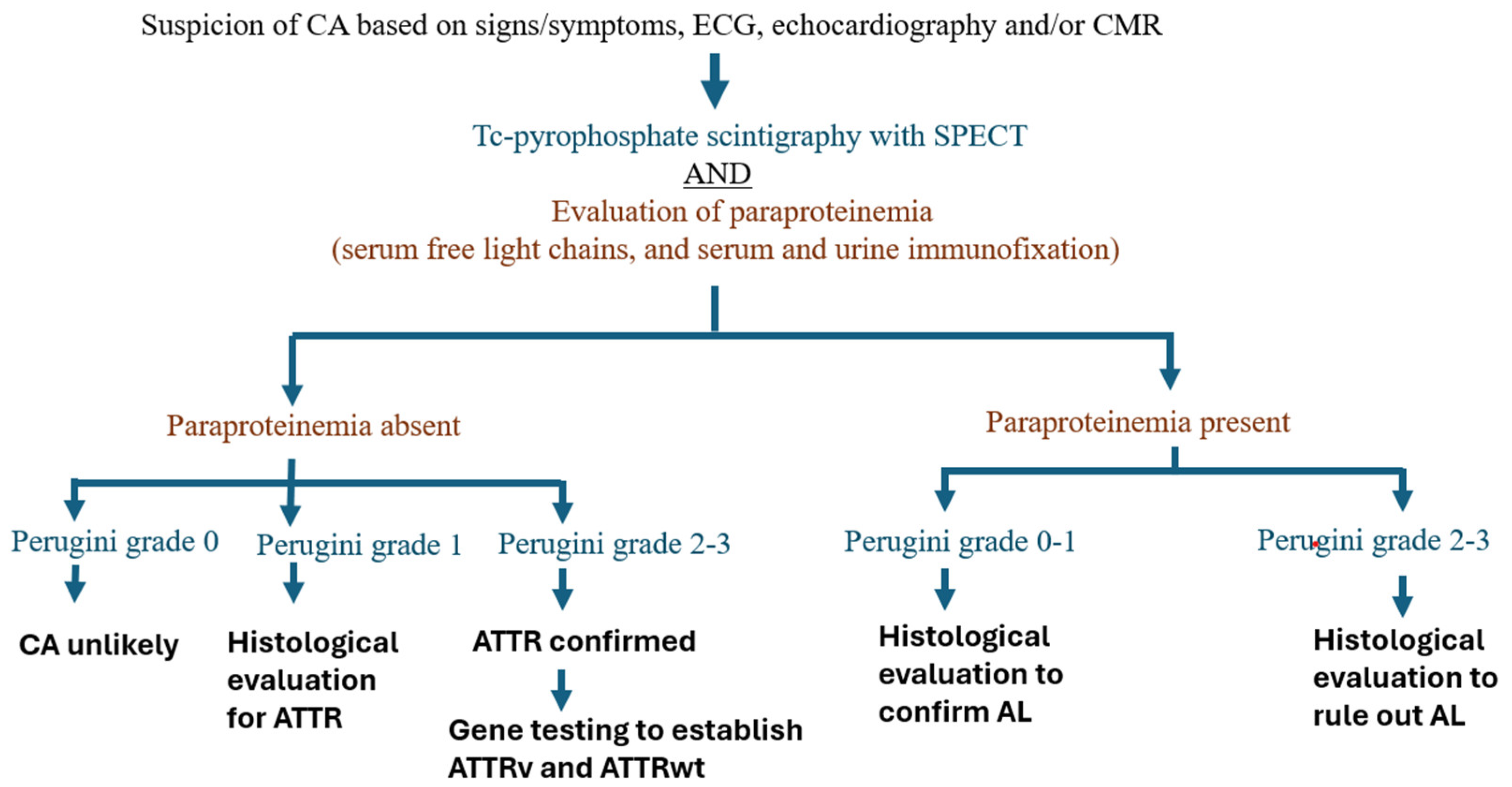 Preprints 146570 g001